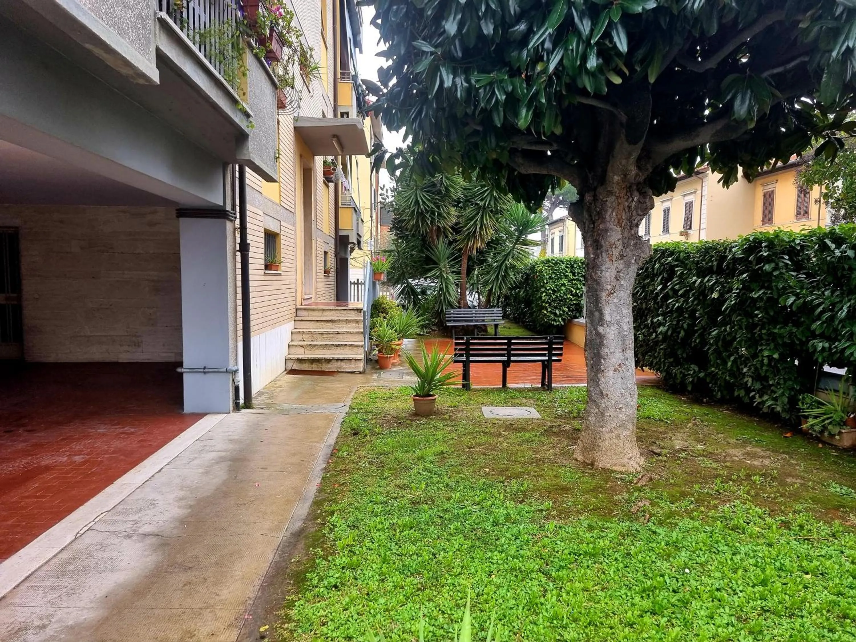 Garden in Prime Guest House