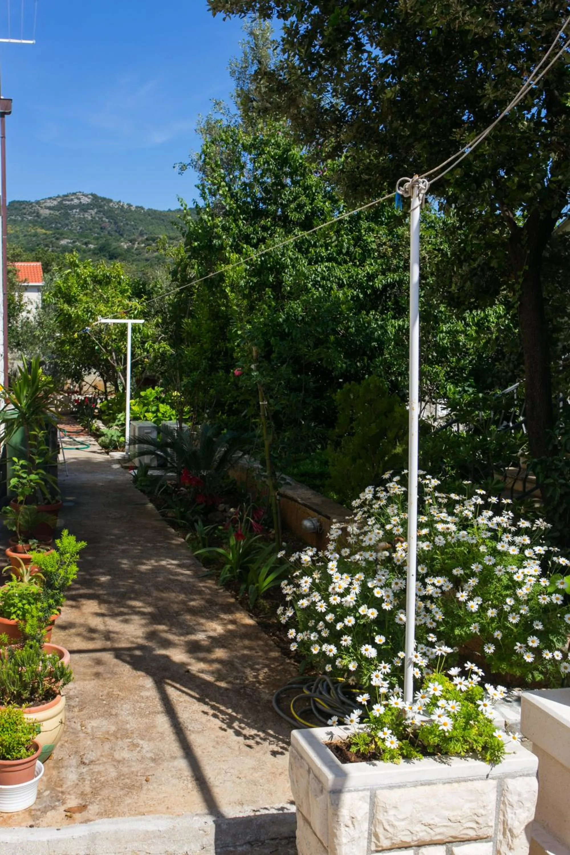 Garden in Apartments Marina
