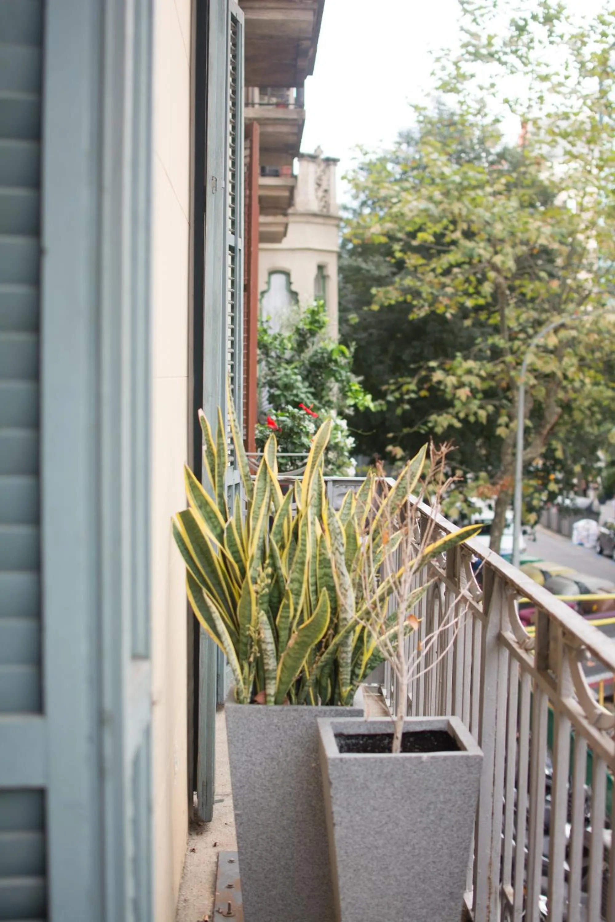 Balcony/Terrace in Forget Me Not Barcelona