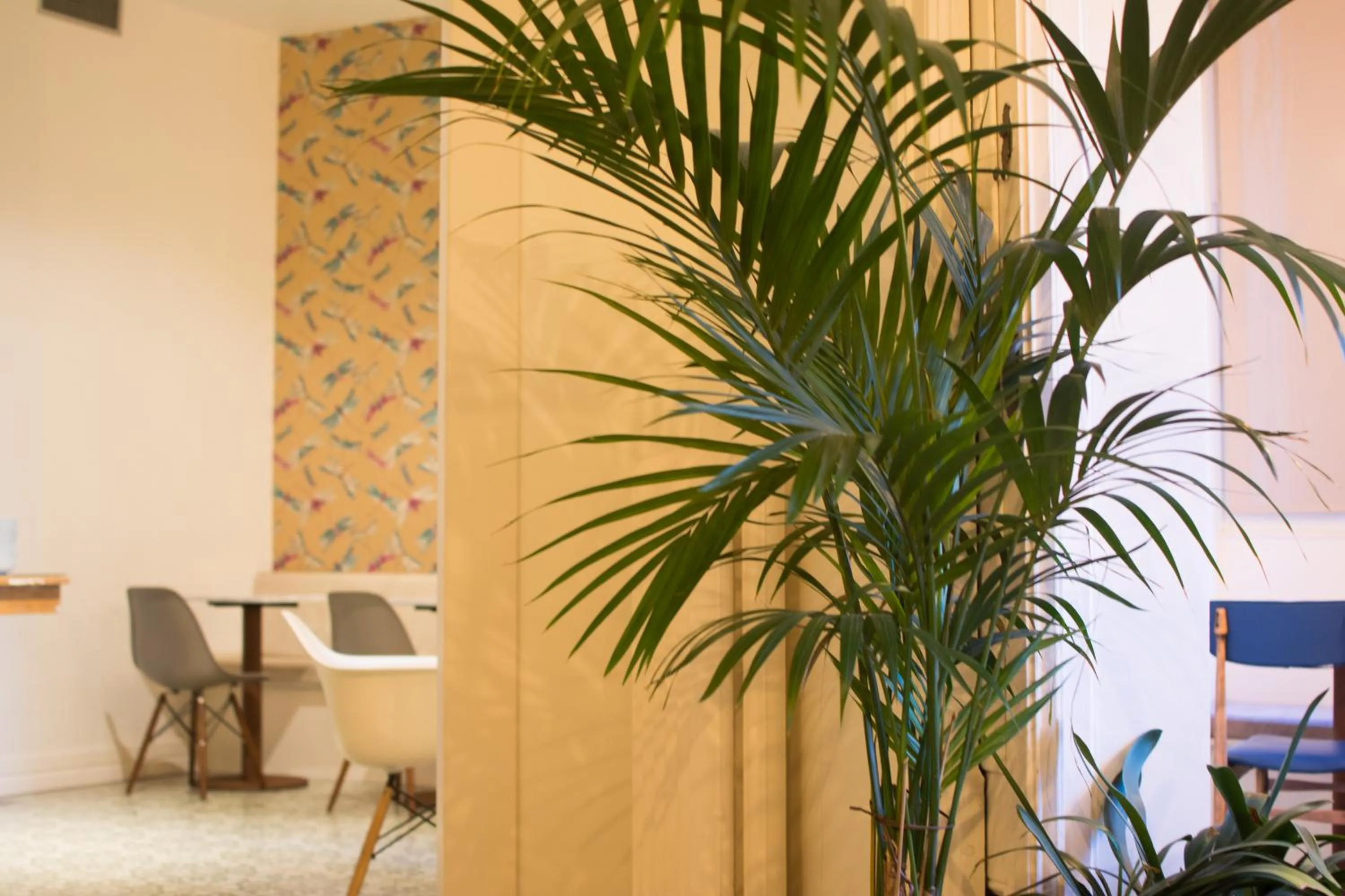 Lounge or bar in Forget Me Not Barcelona