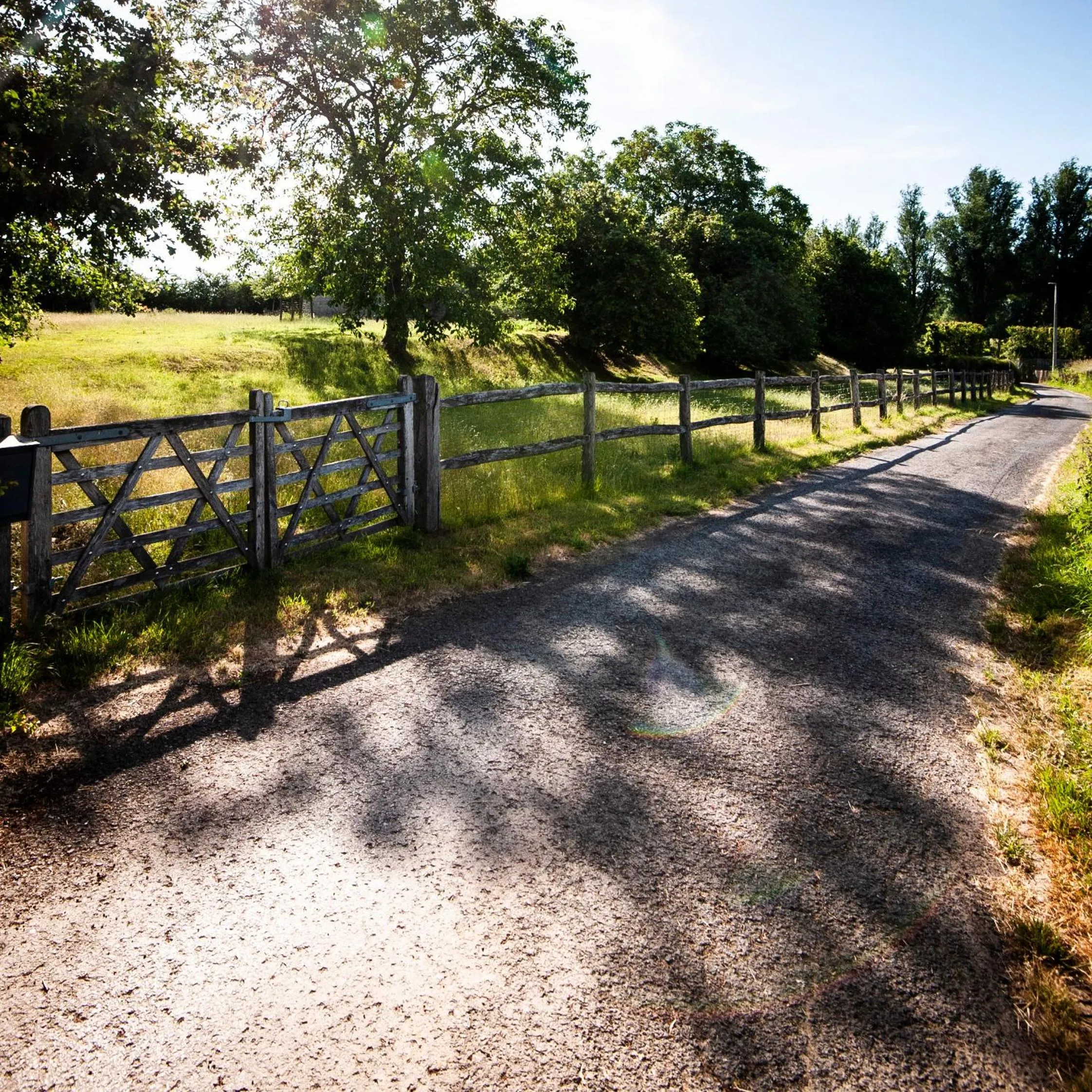 Garden view in B&B Scheldekant