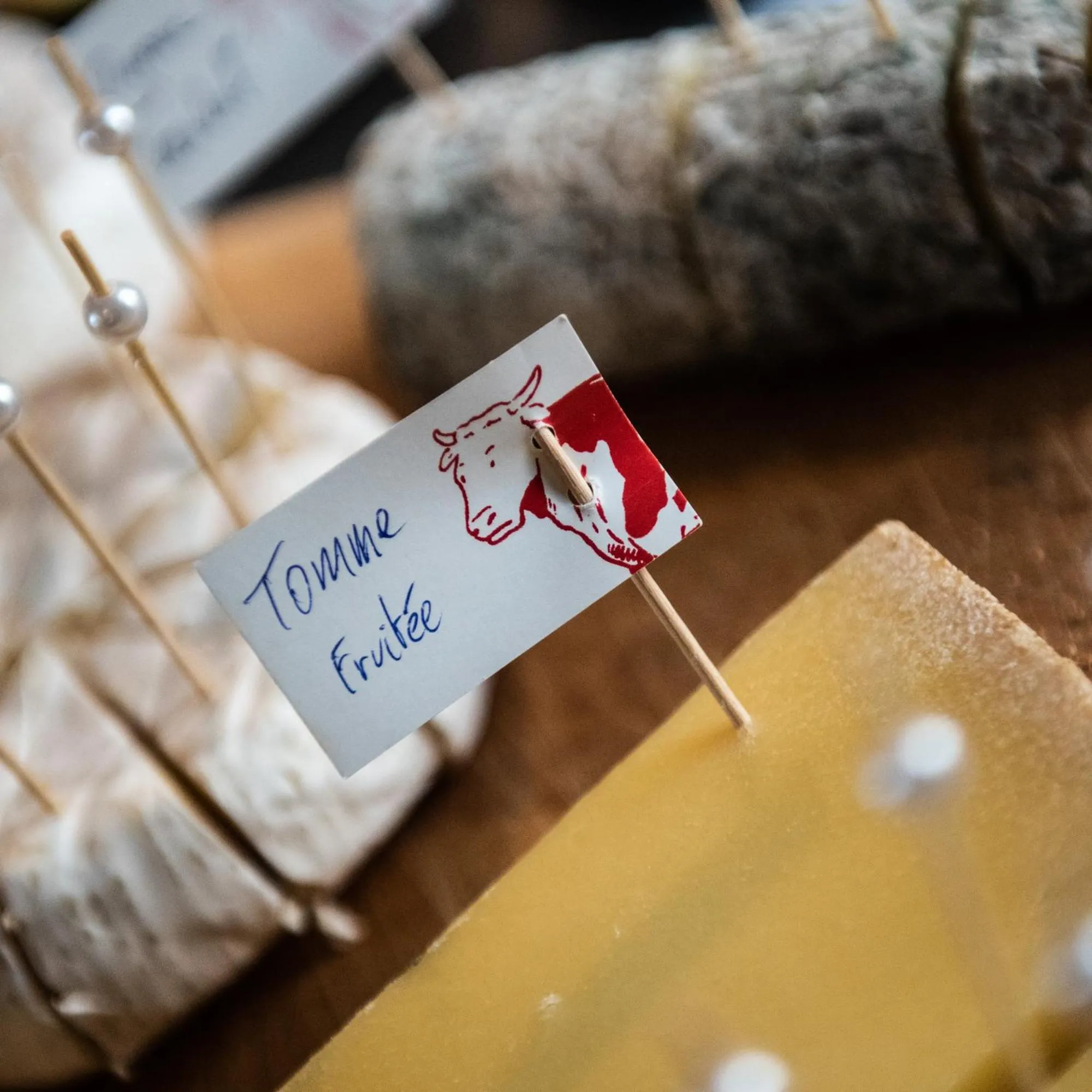 Garden in B&B Scheldekant