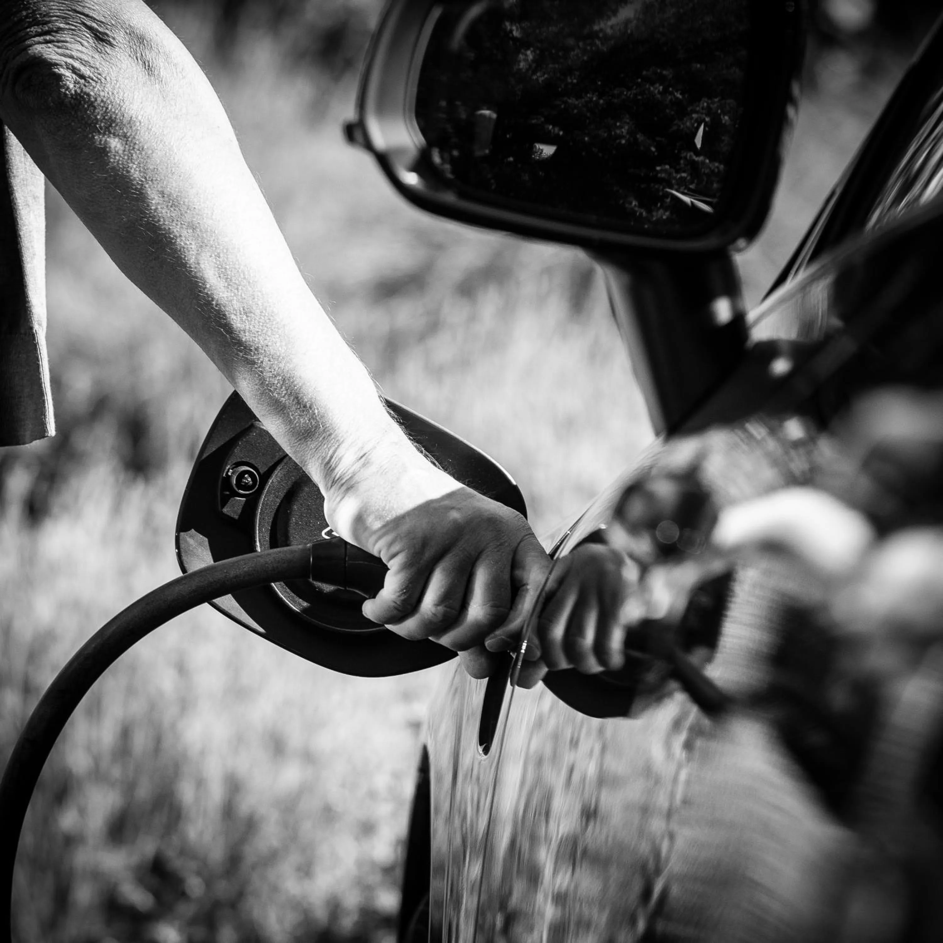 Property building in B&B Scheldekant