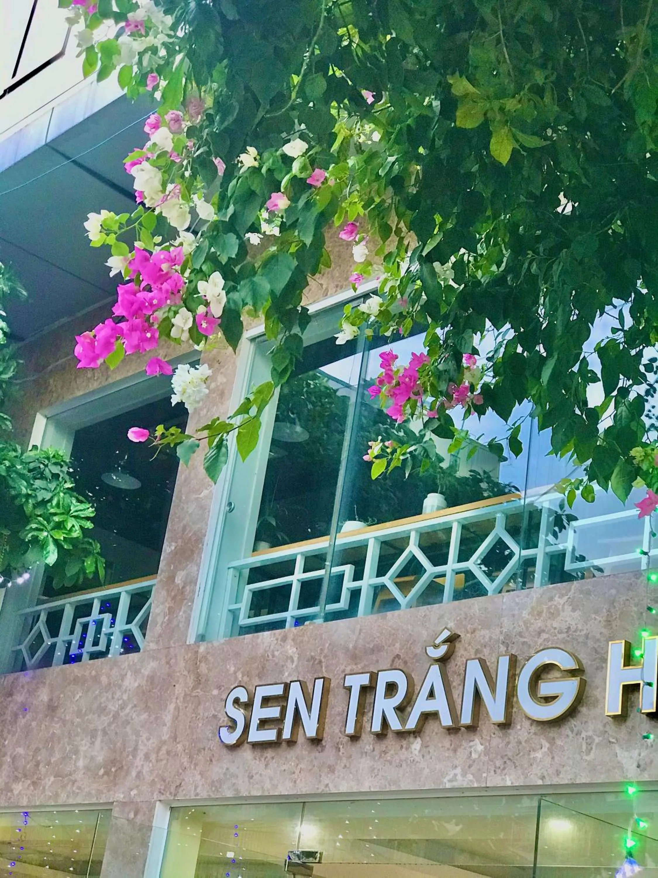 Property building in Sen Trang Hotel