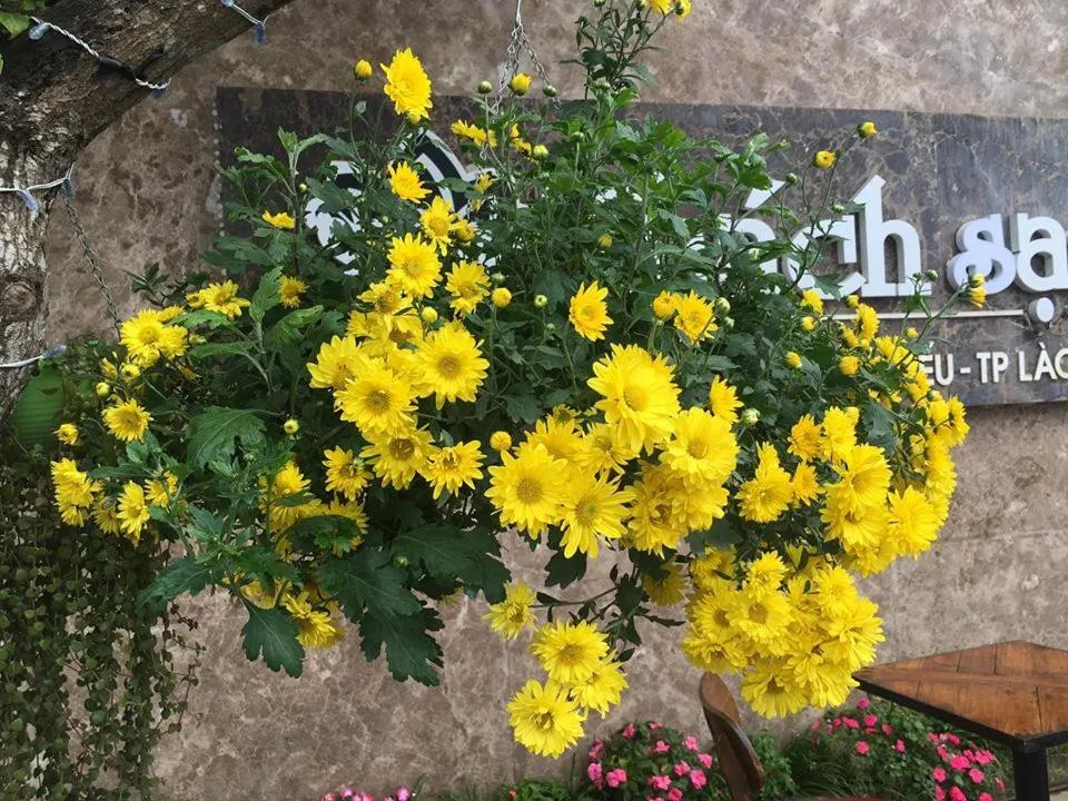 Facade/entrance in Sen Trang Hotel