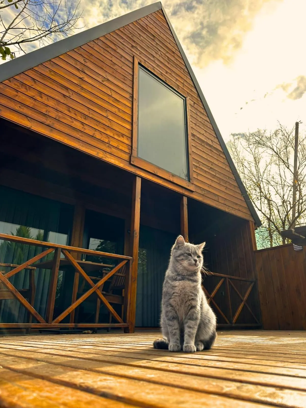 Navy Inn & Bungalows