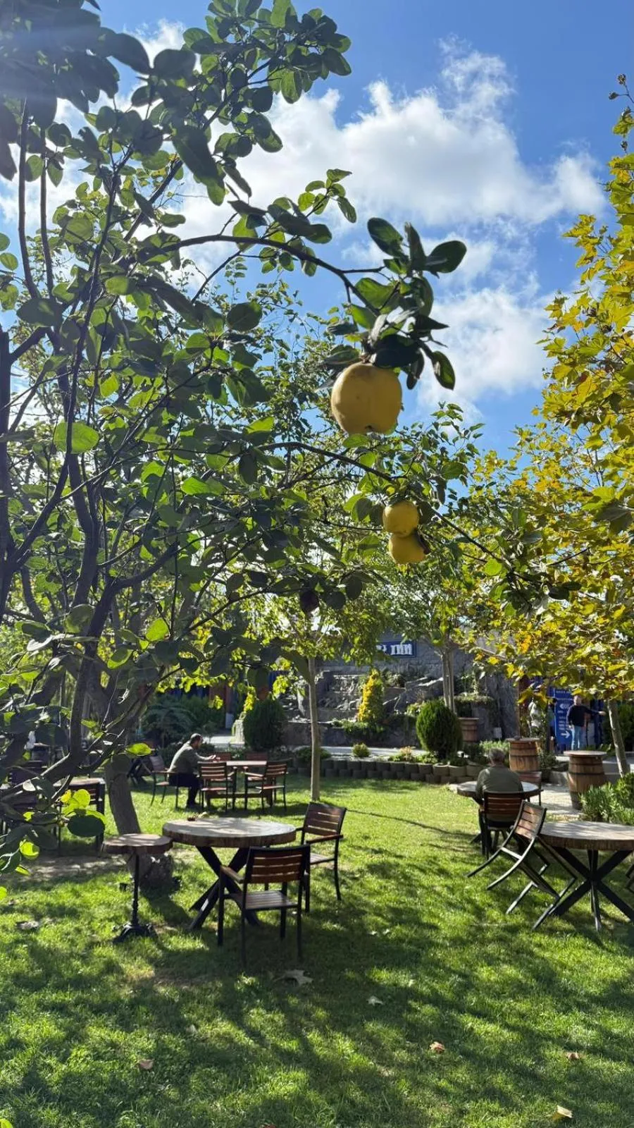 Navy Inn & Bungalows