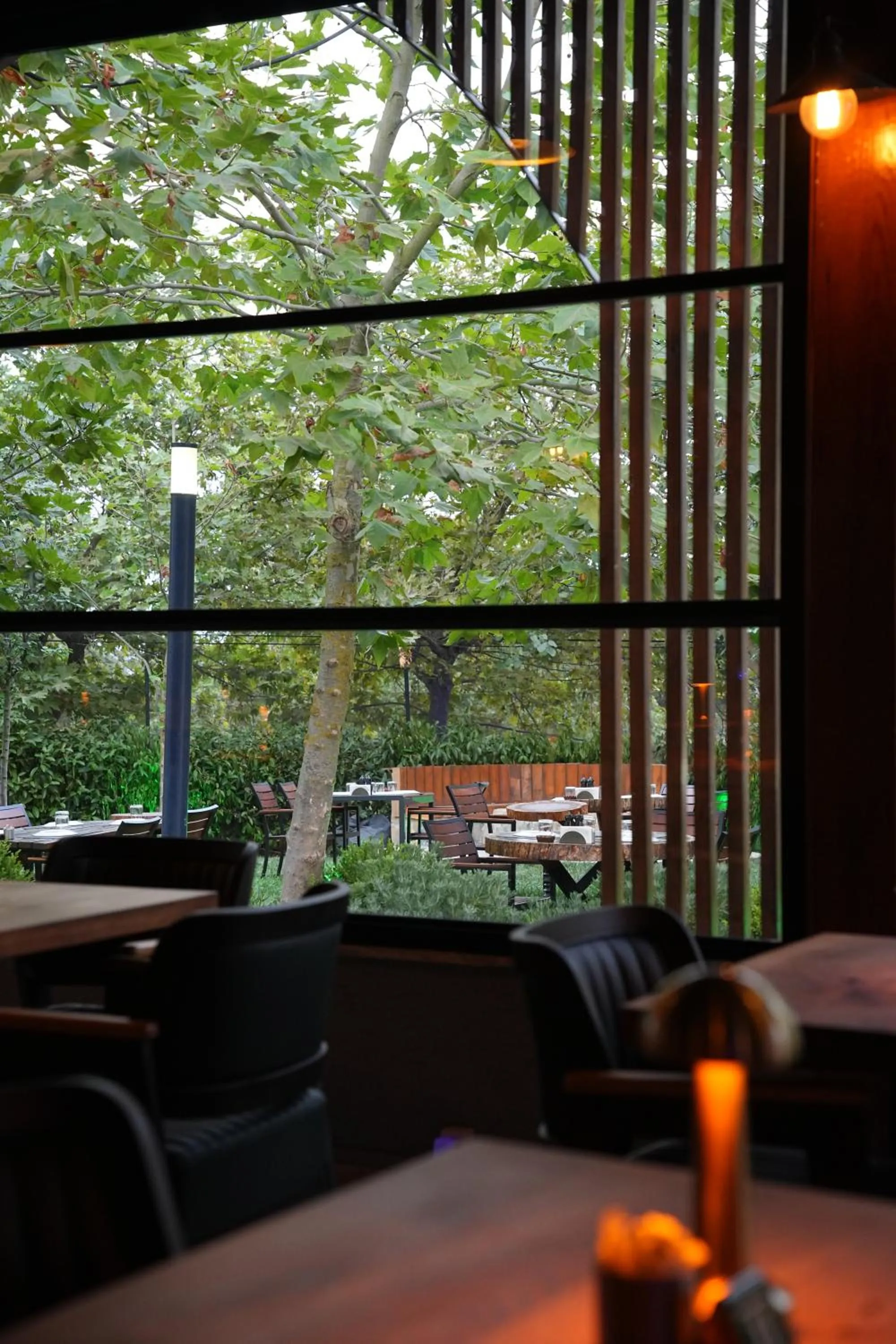 Restaurant/places to eat in Navy Inn & Bungalows