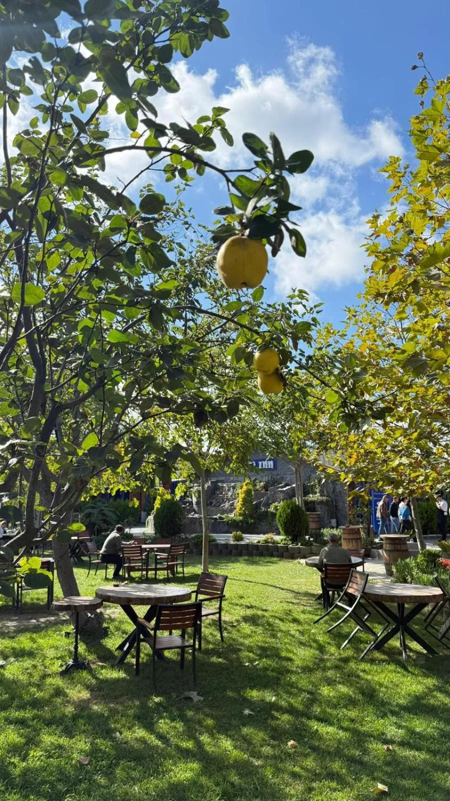 Navy Inn & Bungalows