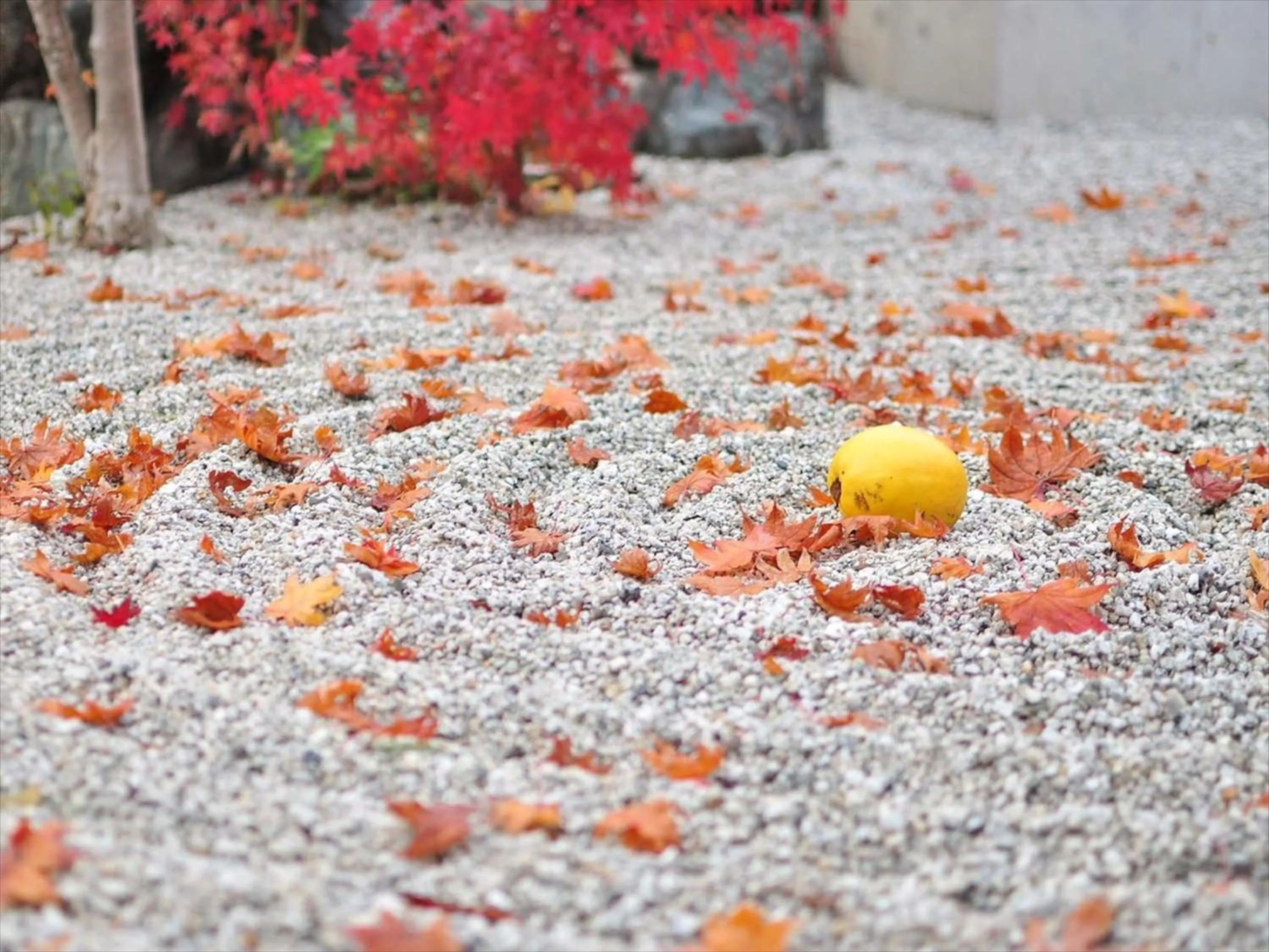 Nearby landmark in HANARE by Tokyu Stay Kyoto Sanjo