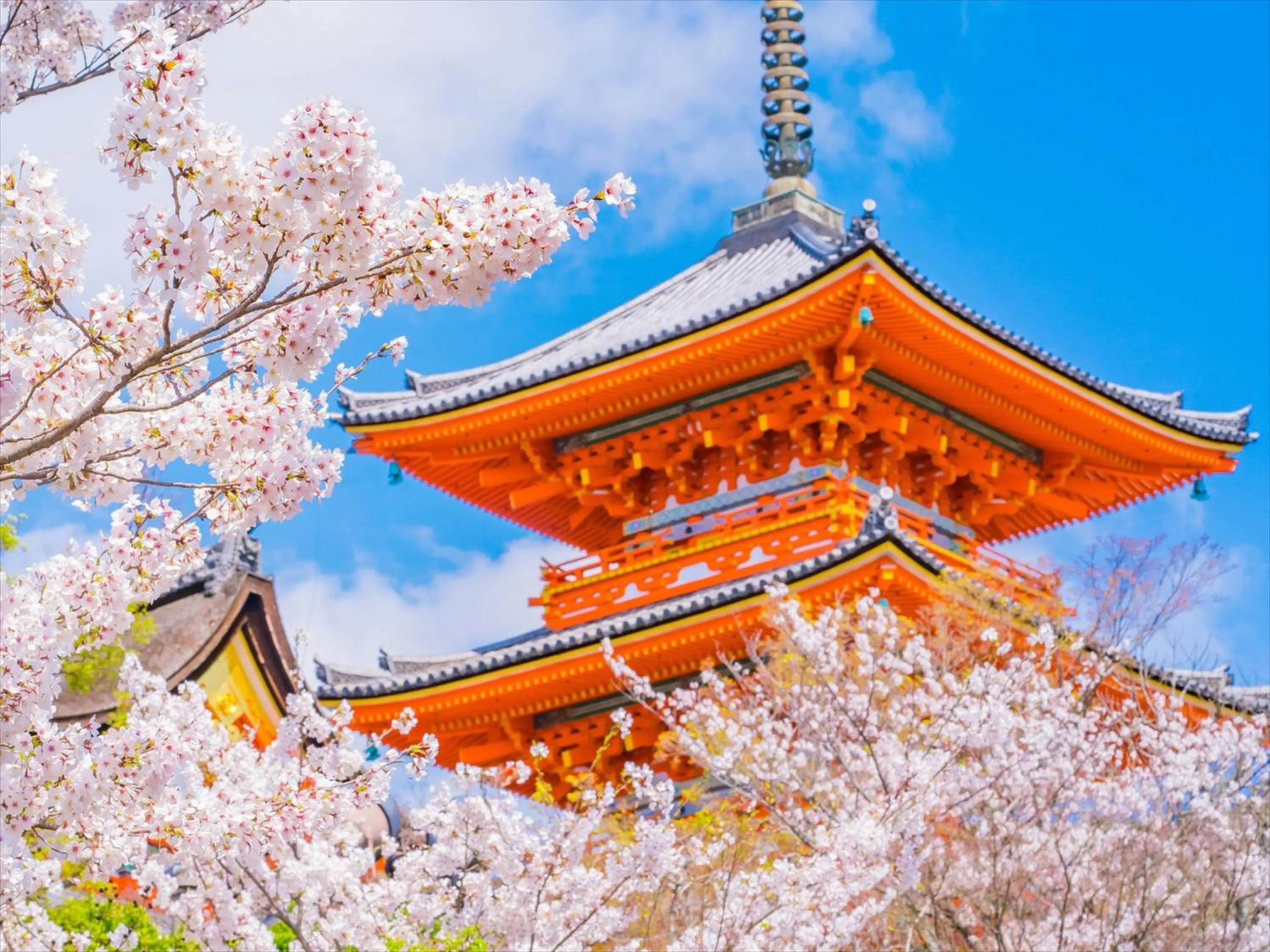 Nearby landmark in HANARE by Tokyu Stay Kyoto Sanjo