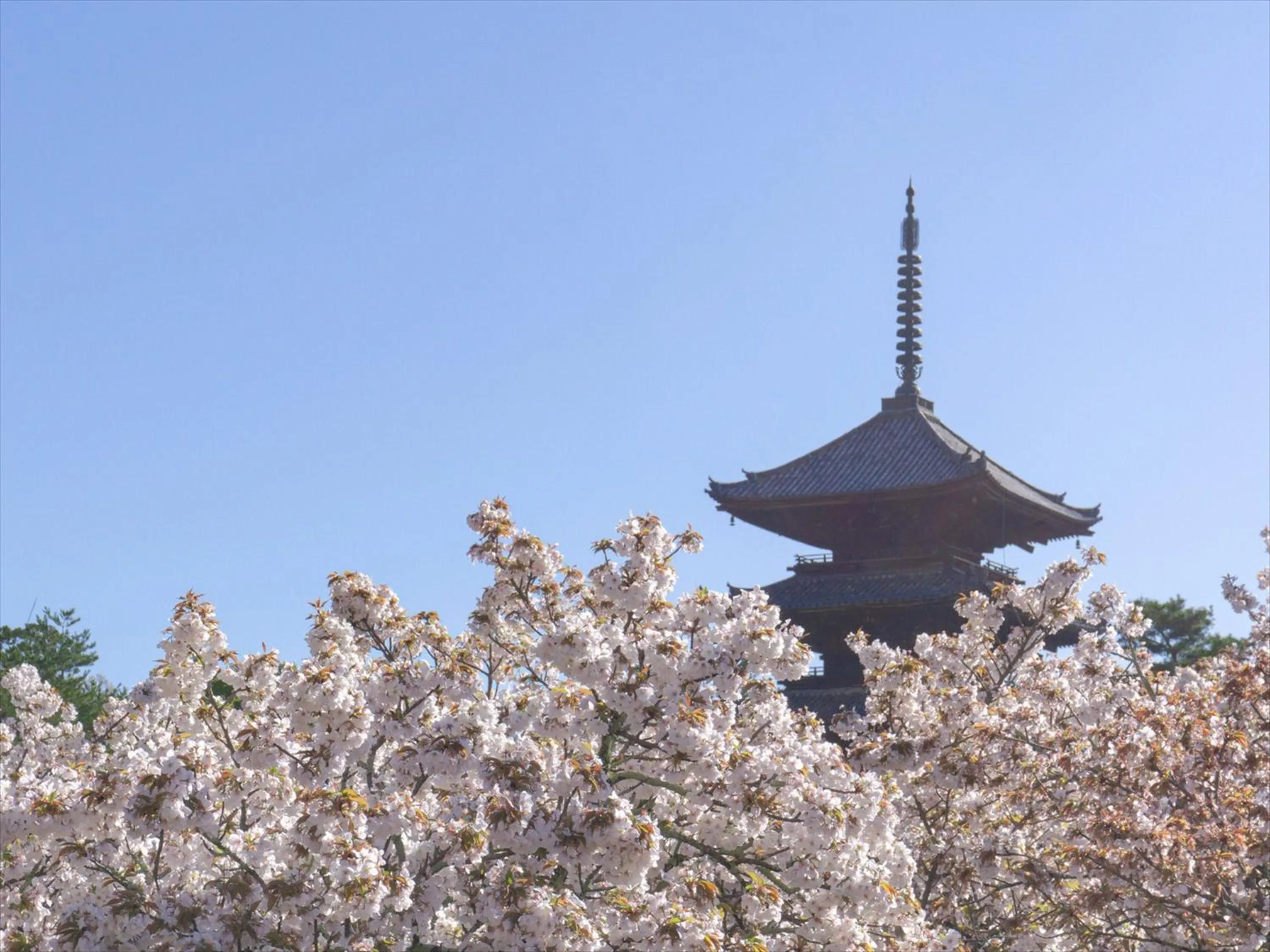 Nearby landmark in HANARE by Tokyu Stay Kyoto Sanjo