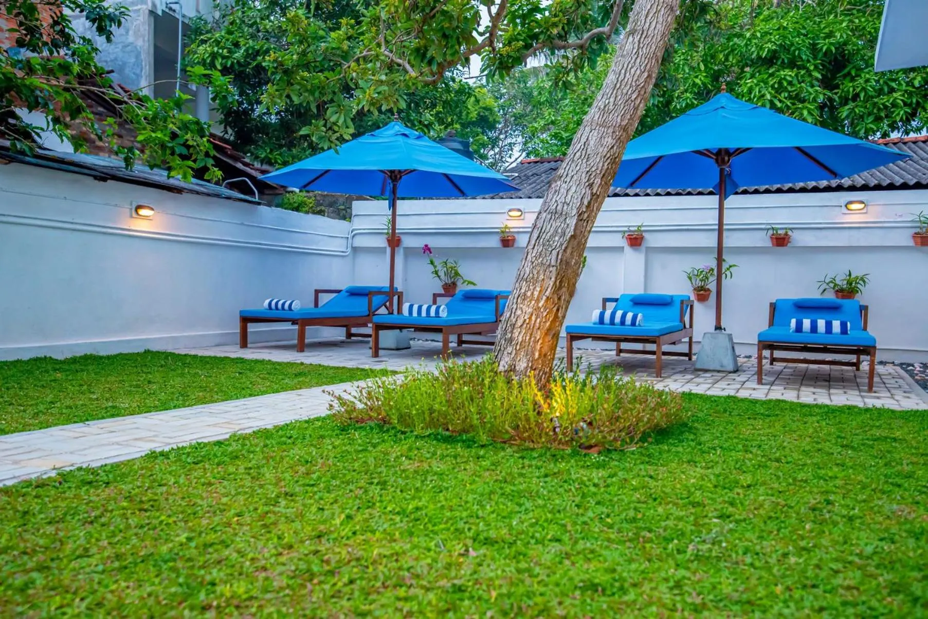 Garden in The Residence Hikkaduwa