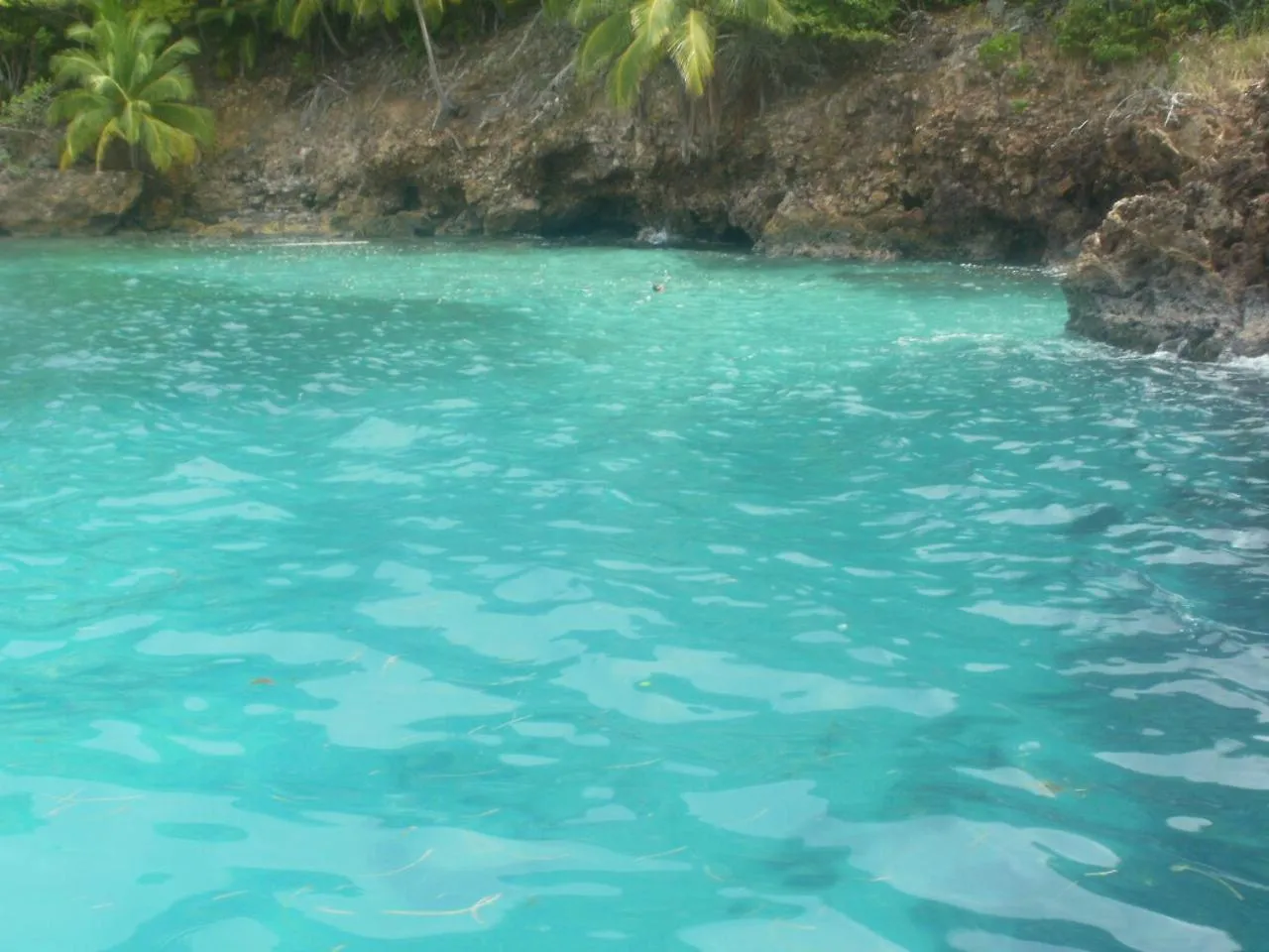 Snorkeling in Posada Miss Portia
