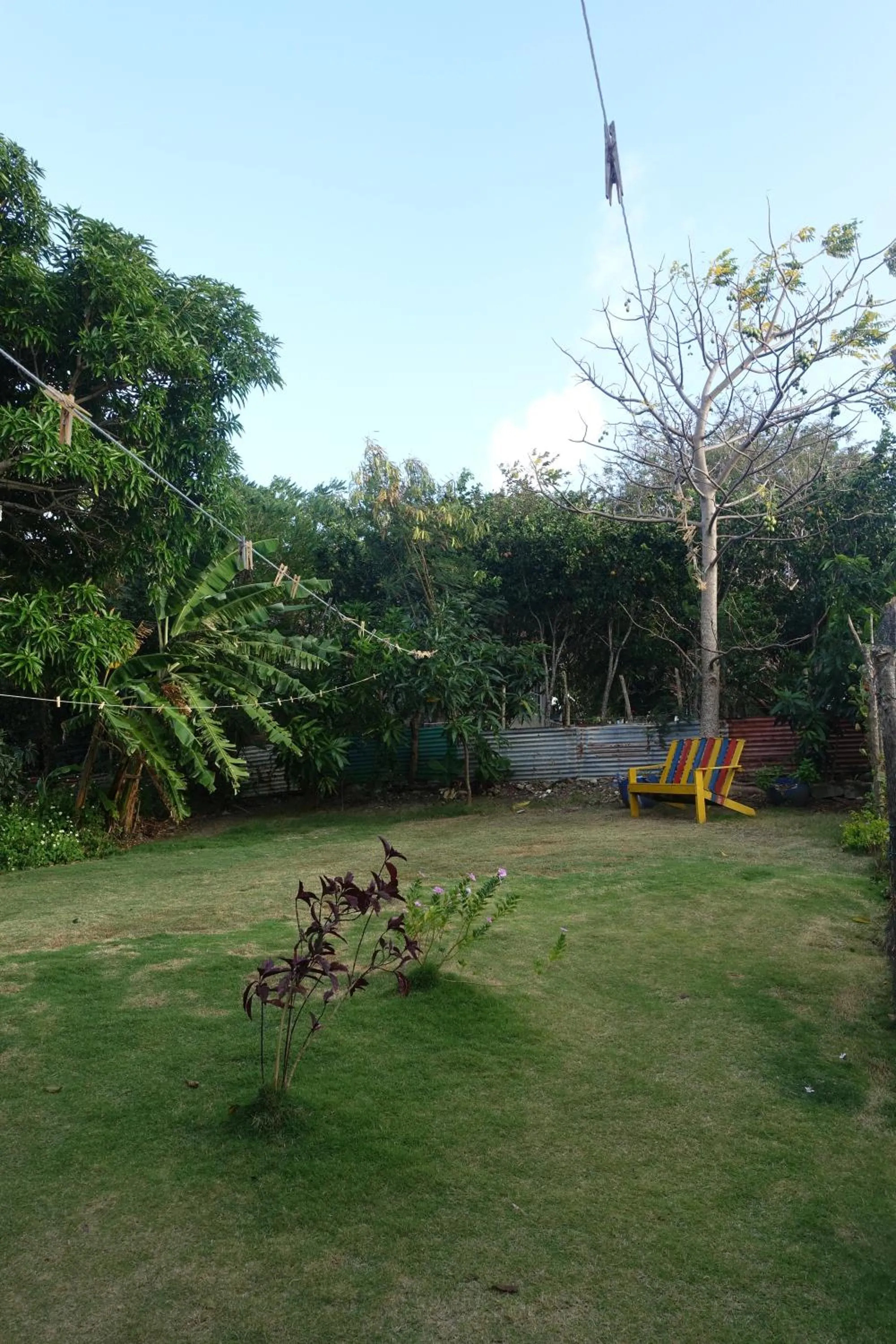 Garden in Posada Miss Portia