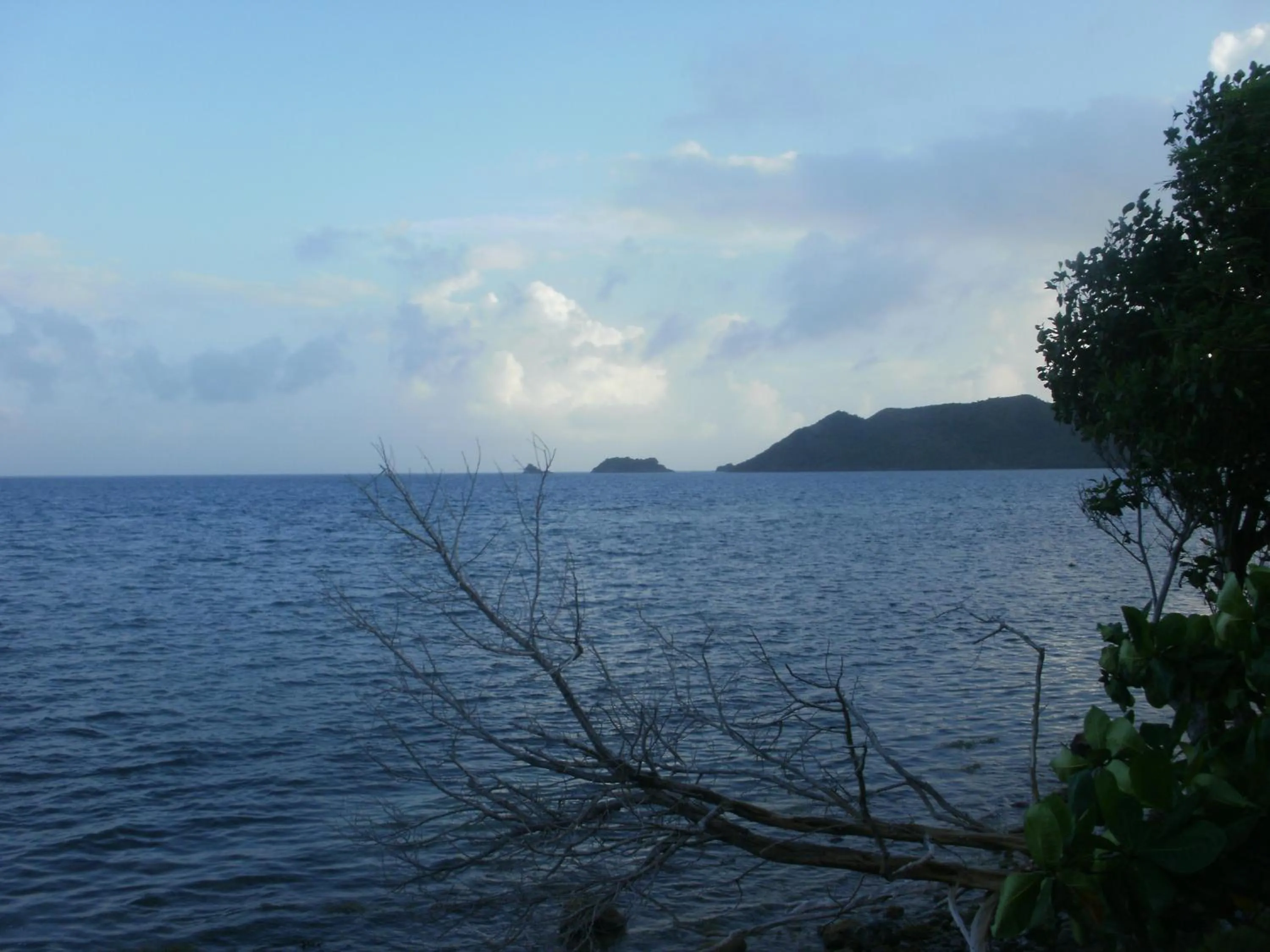 Natural landscape in Posada Miss Portia
