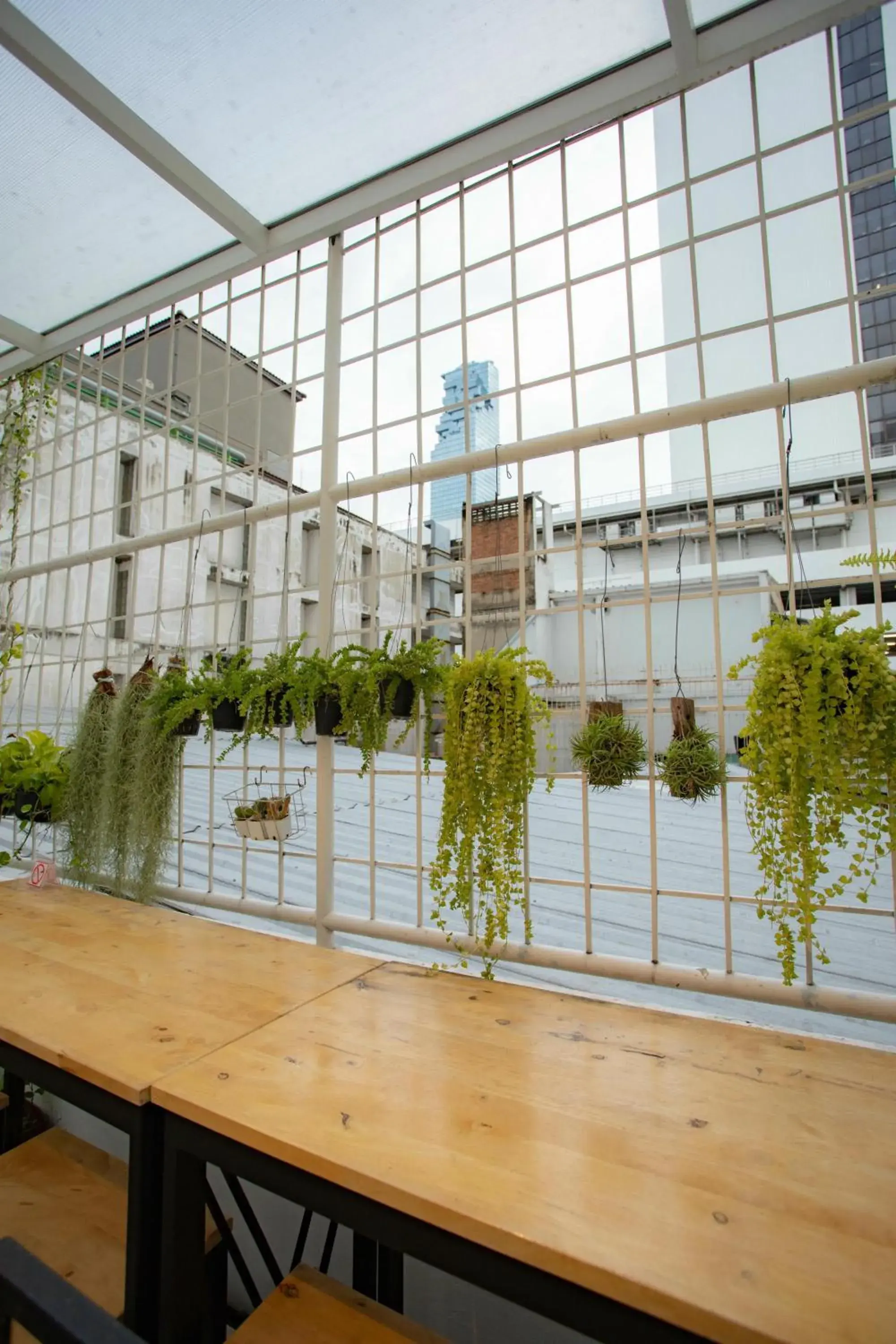 City view in Tini Kati Hostel City view in Tini Kati Hostel