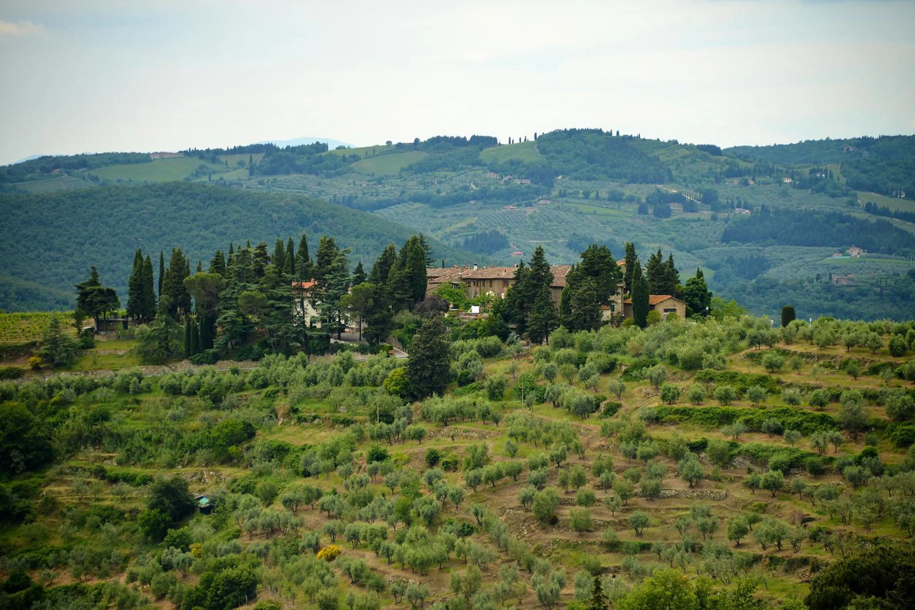 Day in Castellinuzza