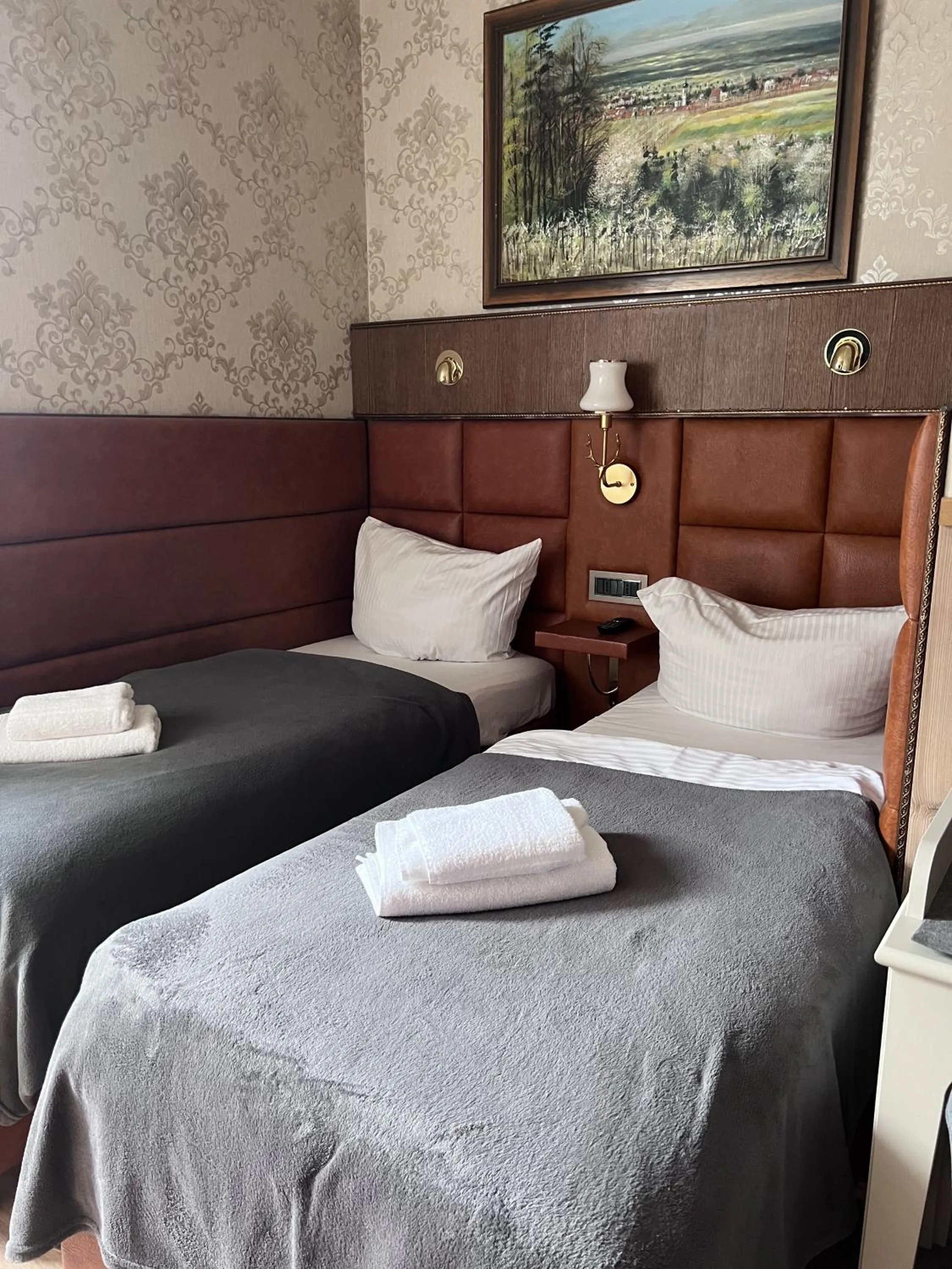 Twin Room - single occupancy in Hotel Zum Lamm