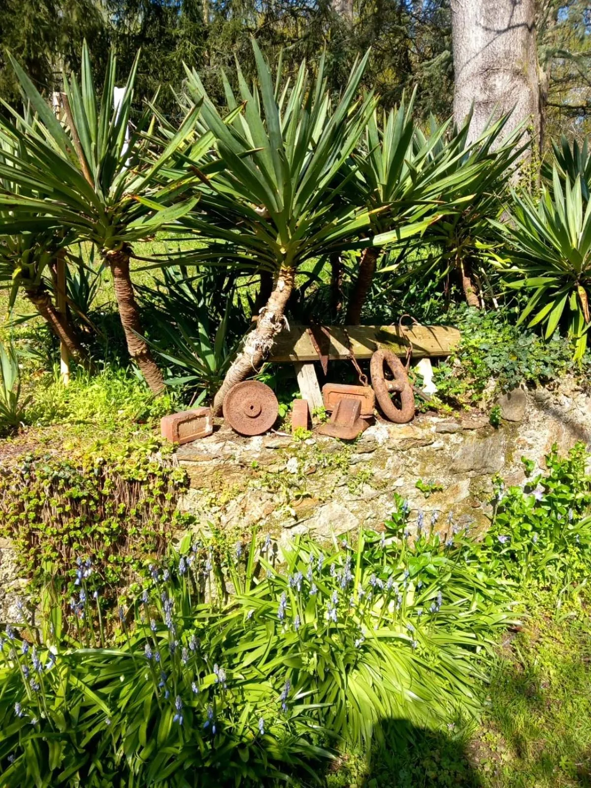 Natural landscape in les cèdres bleus de Joany