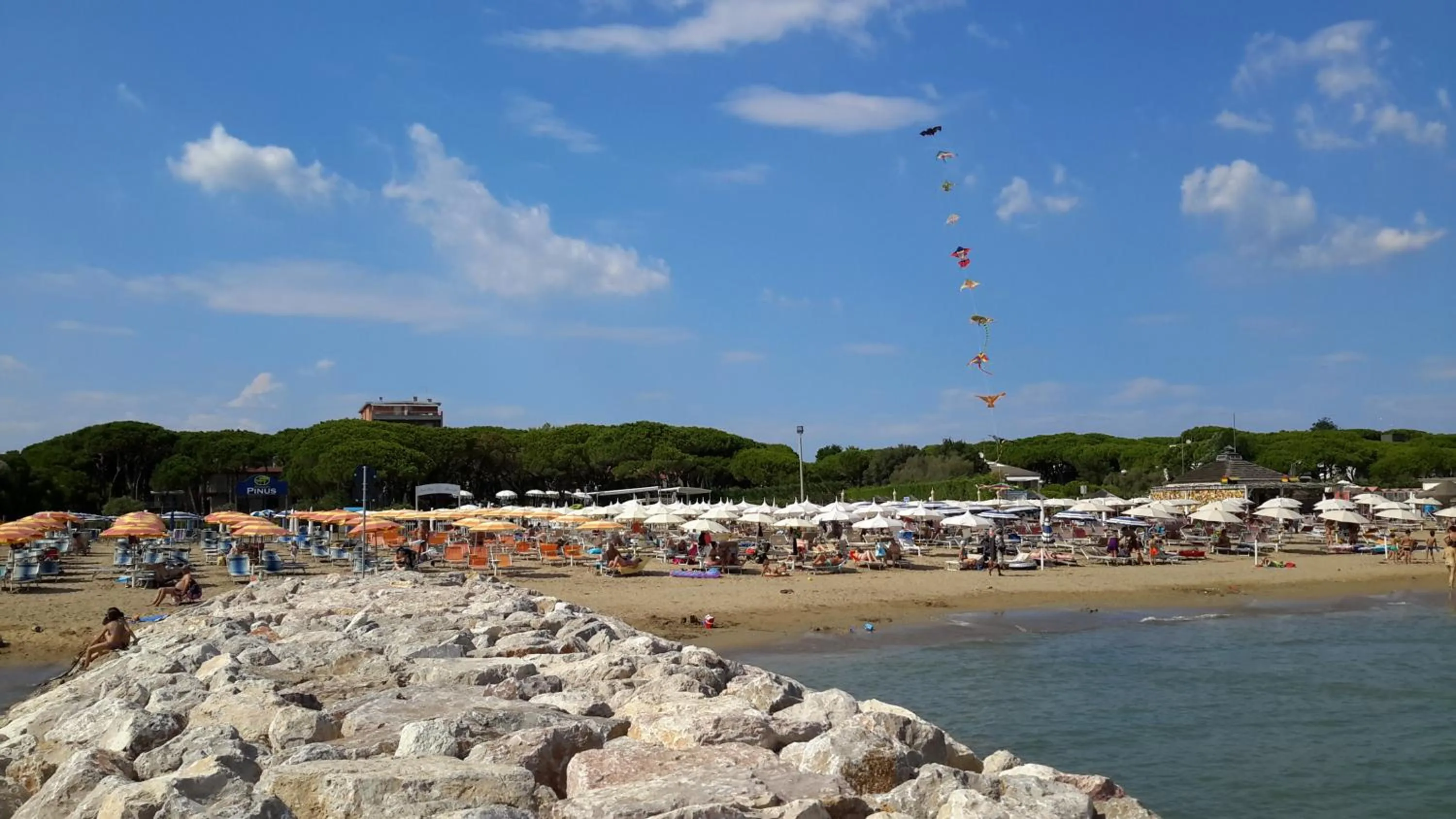 Natural landscape in Park Hotel Maracaibo