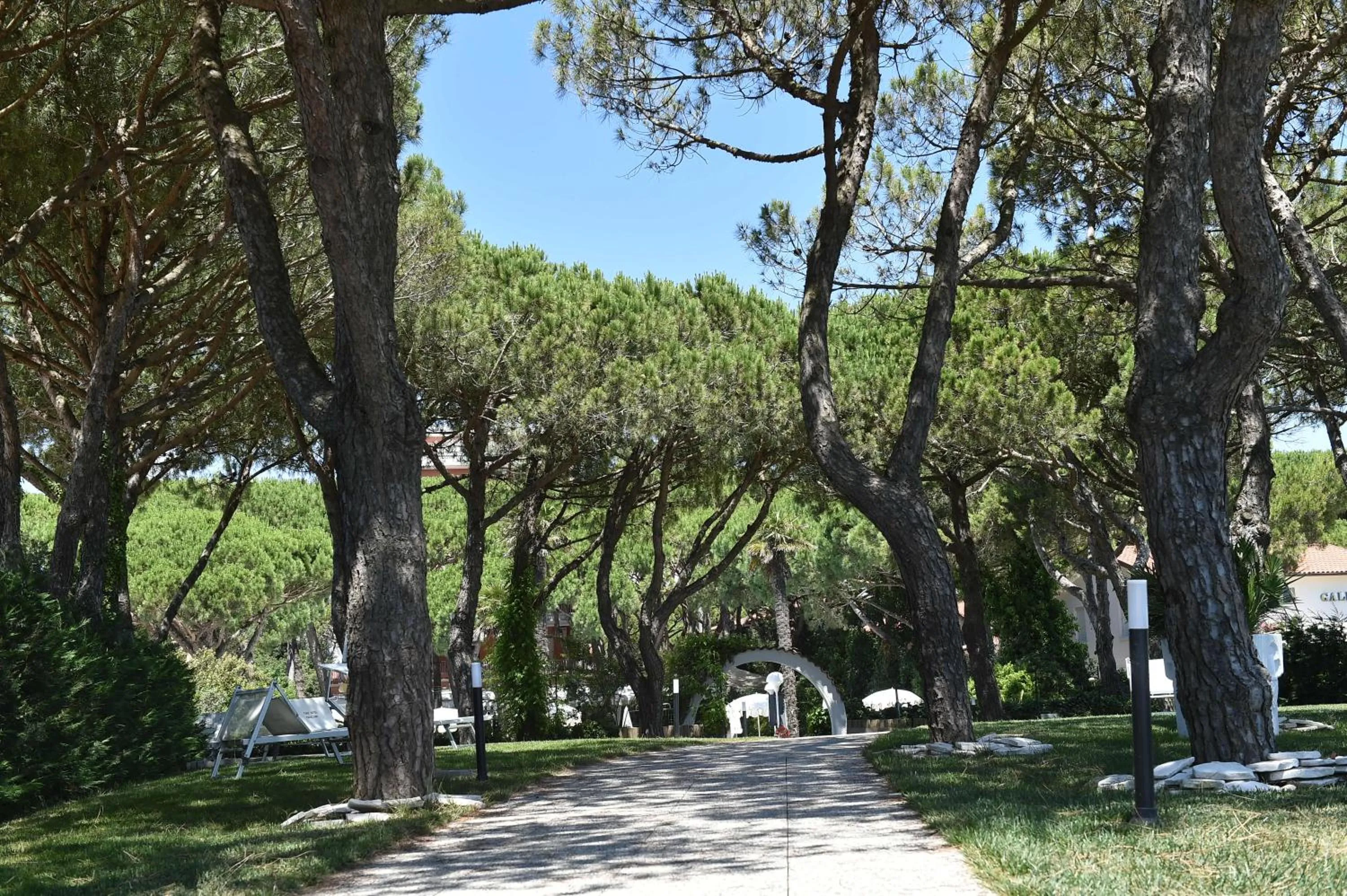 Natural landscape in Park Hotel Maracaibo