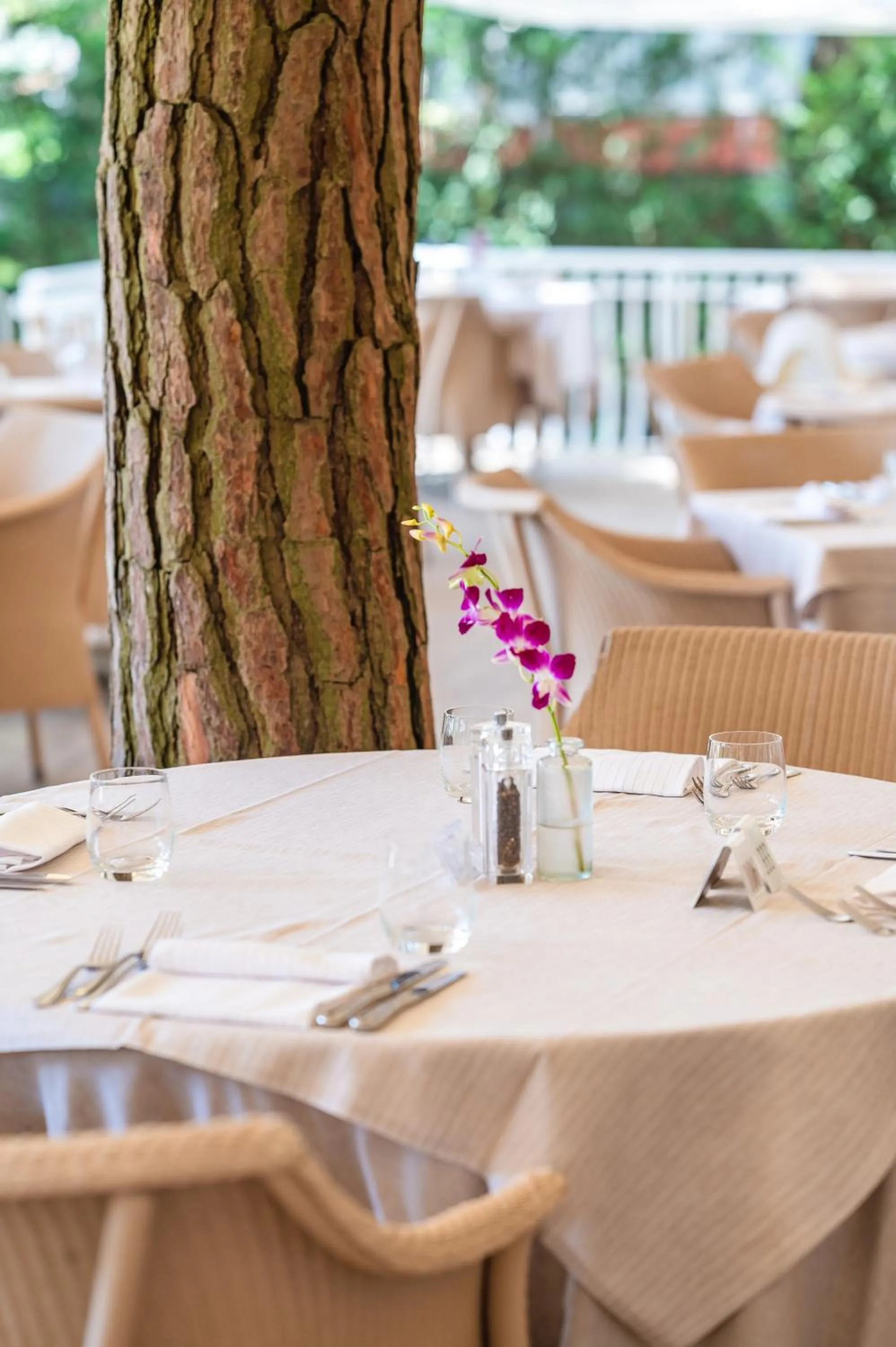 Restaurant/places to eat in Park Hotel Maracaibo