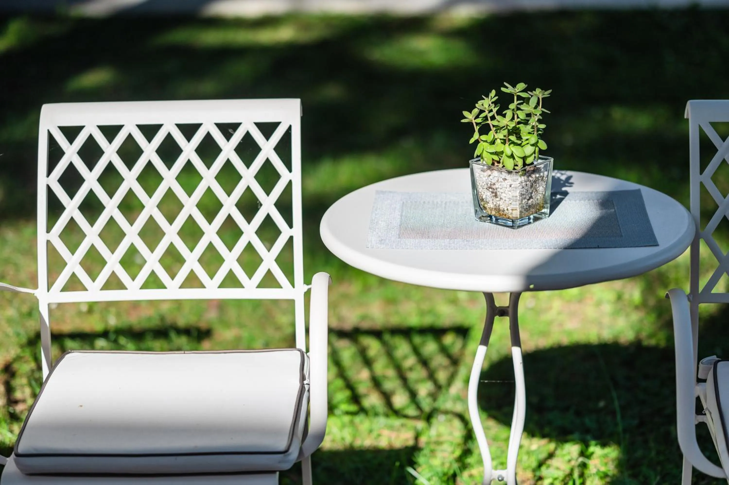 Garden in Park Hotel Maracaibo