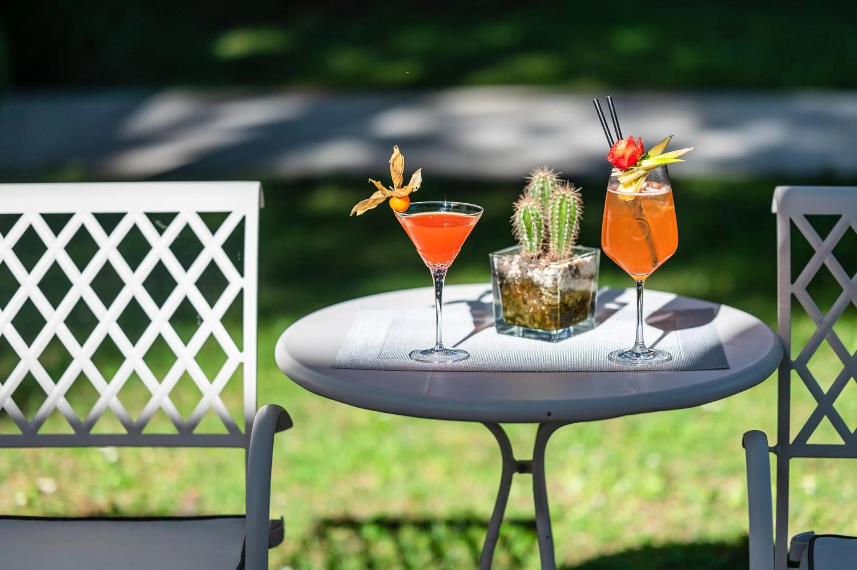 Garden in Park Hotel Maracaibo