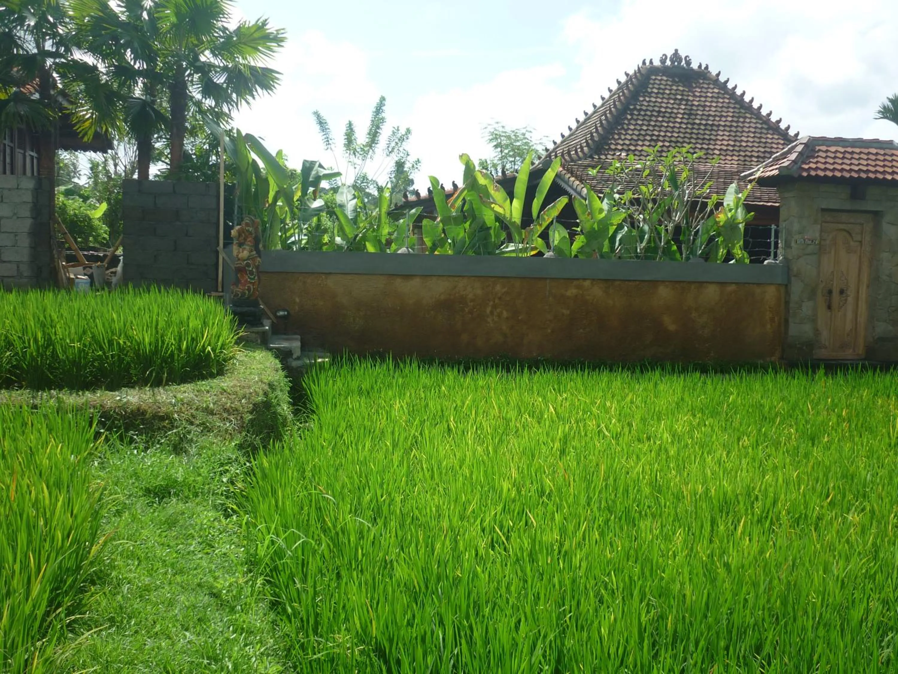 Landmark view in Villa Nini