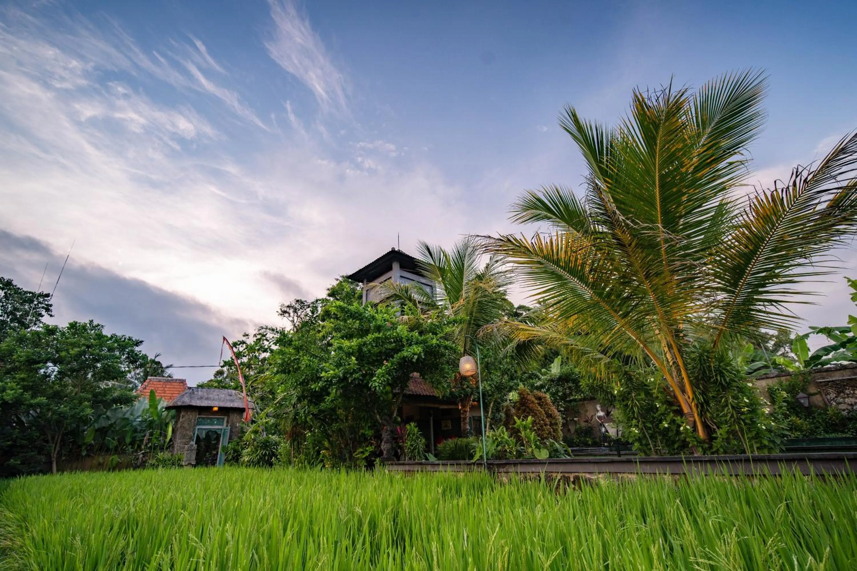 Garden in Villa Nini
