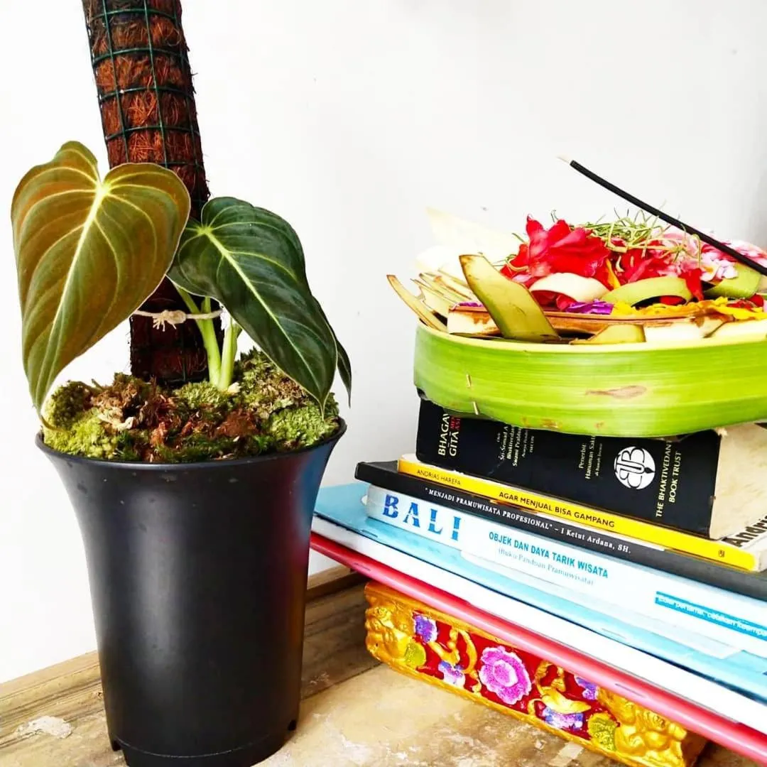 Property building in Villa JJ and Spa Ubud