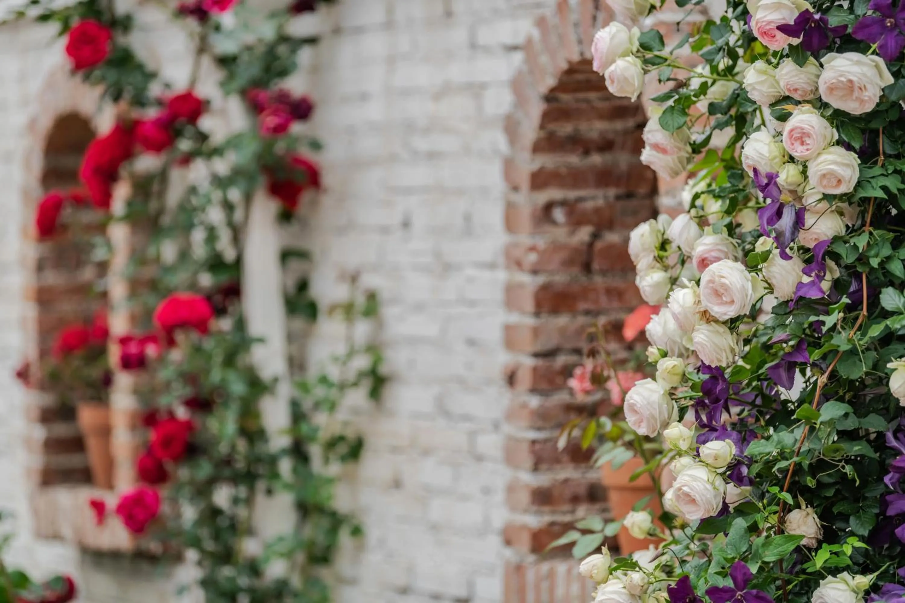 Baisha Flamingo Hotel