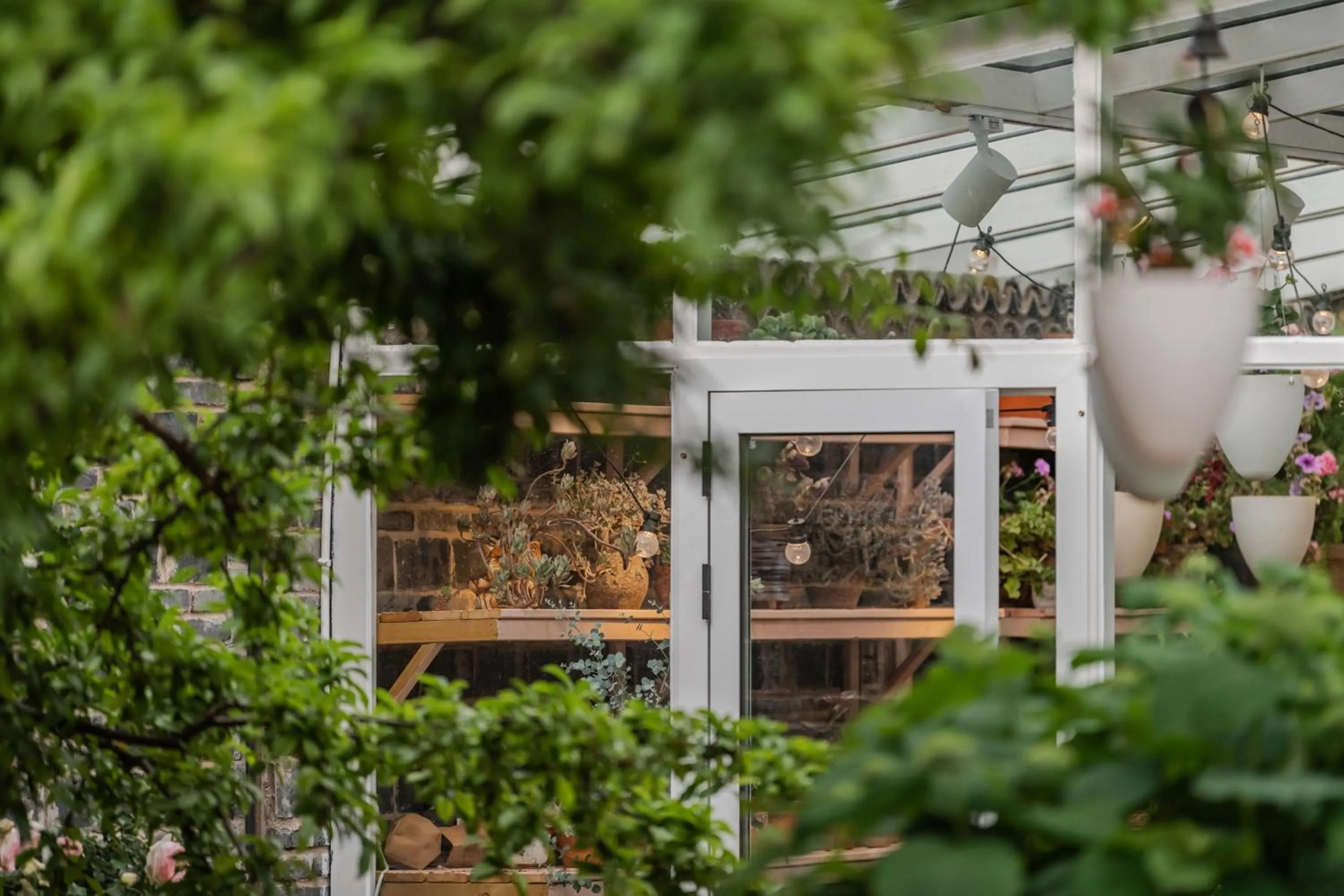 Baisha Flamingo Hotel