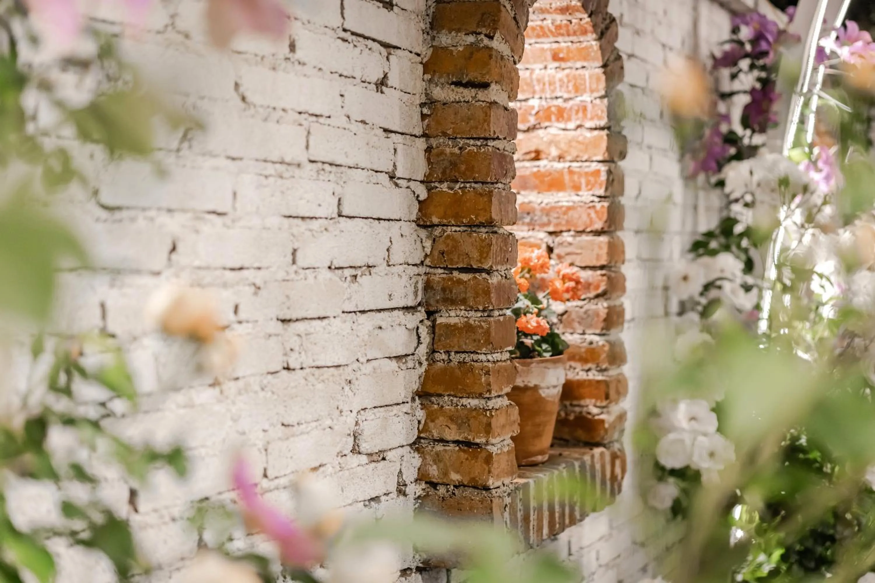 Baisha Flamingo Hotel