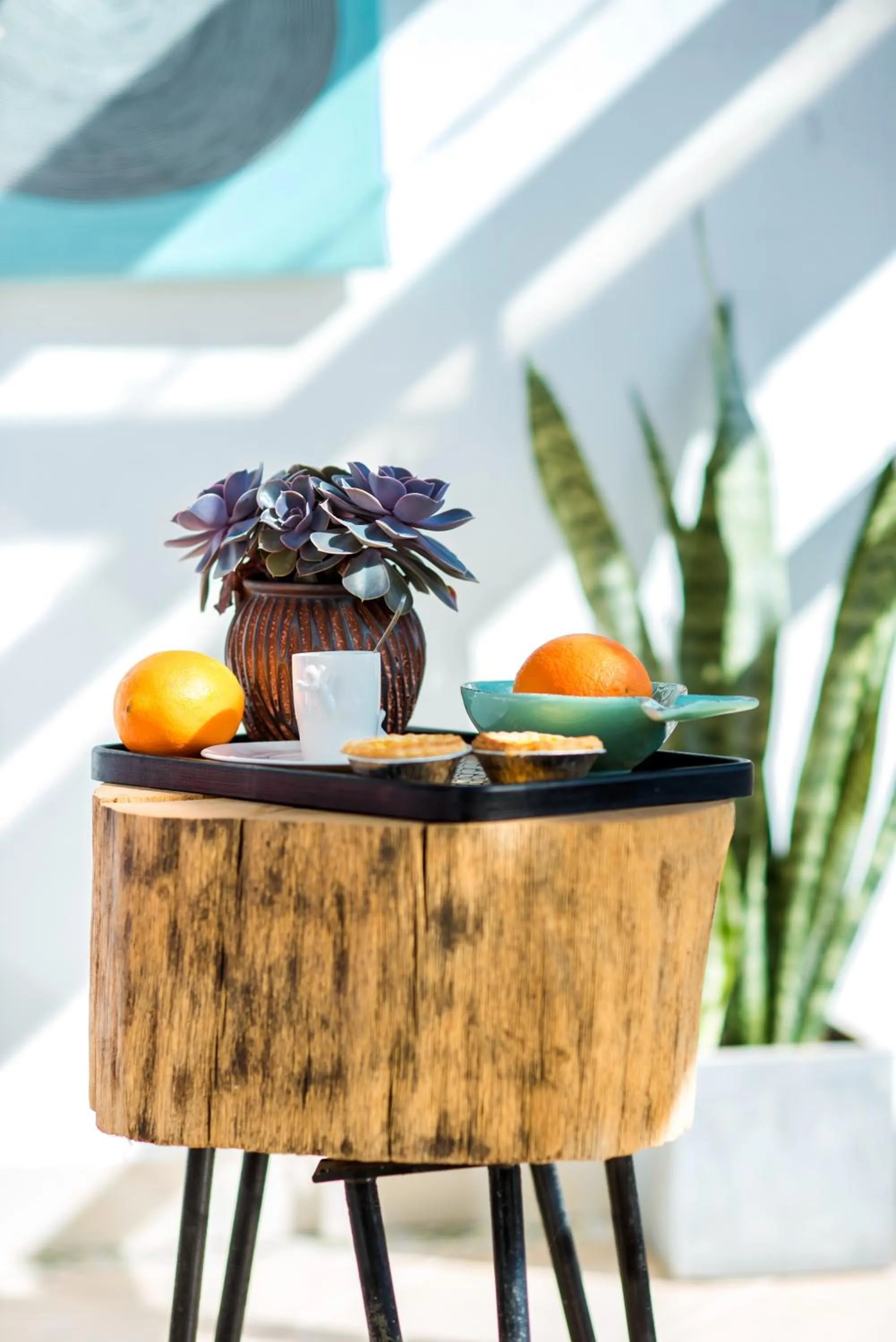 Food close-up in Baisha Flamingo Hotel