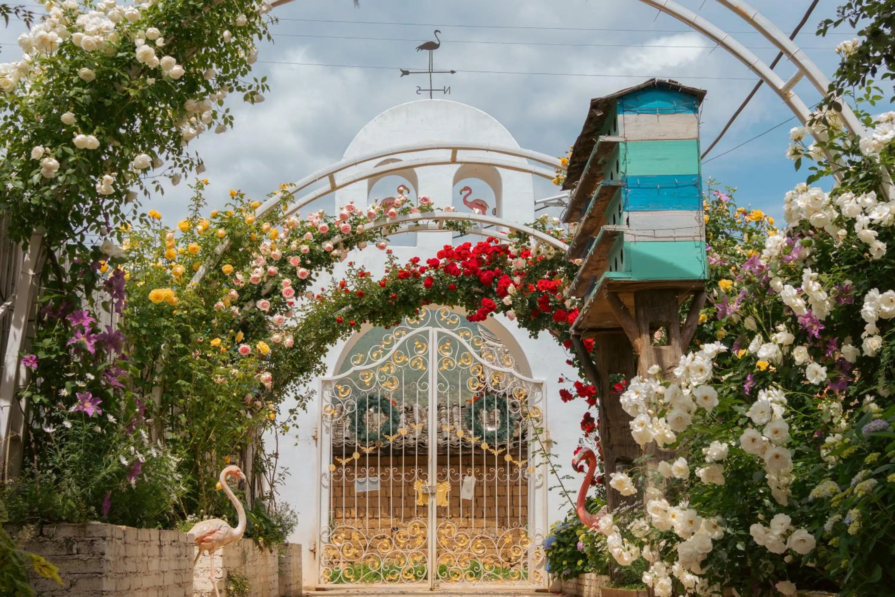 Baisha Flamingo Hotel