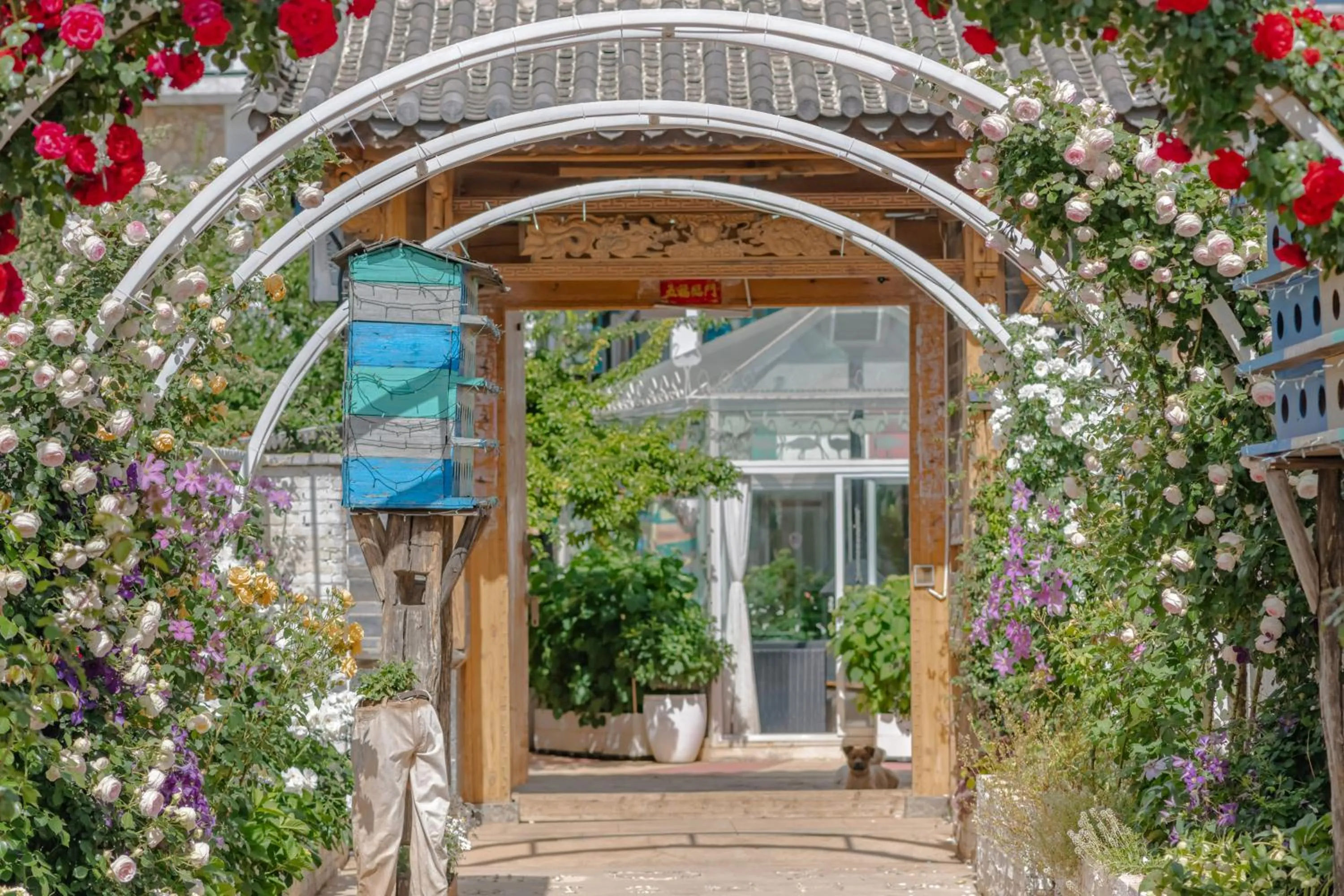 Baisha Flamingo Hotel