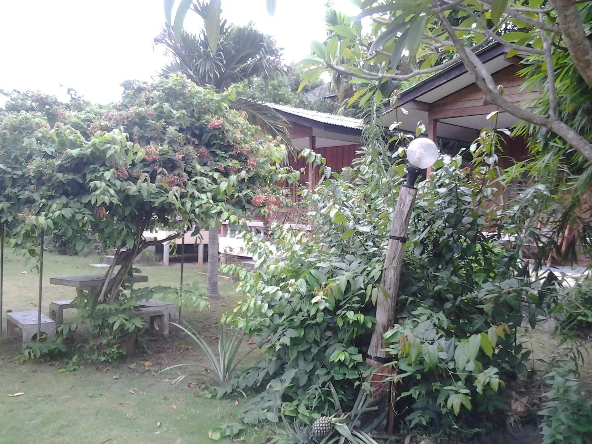 Garden in Blue Lotus Resort