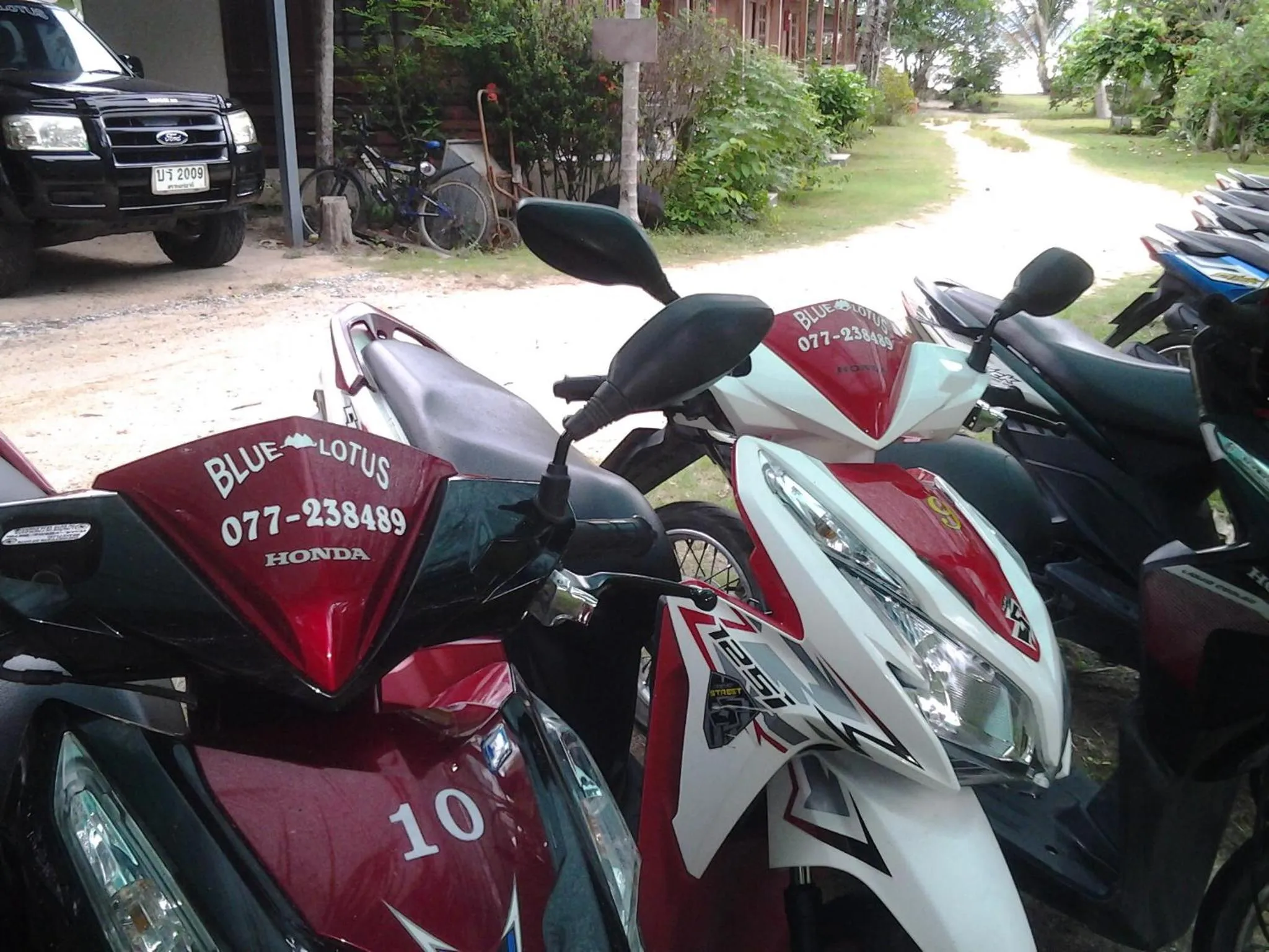 Activities in Blue Lotus Resort