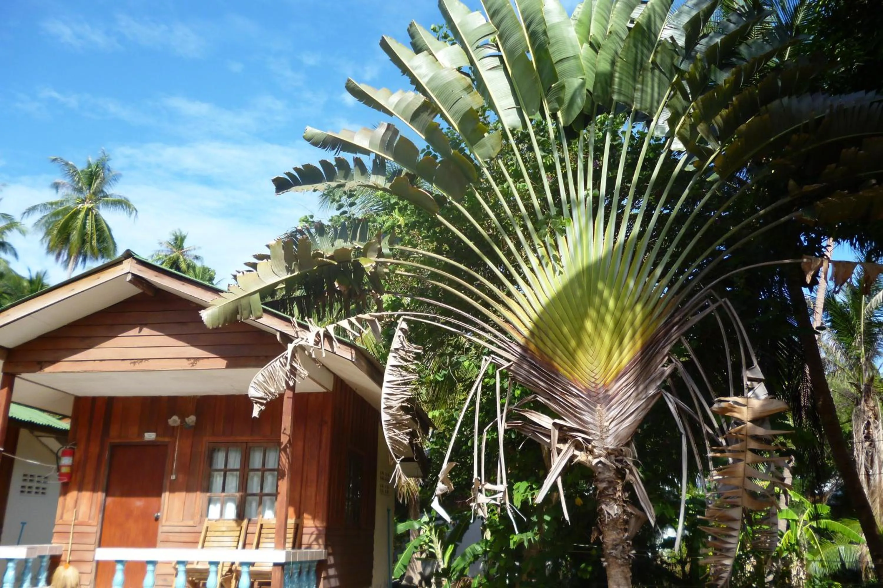 Natural landscape in Blue Lotus Resort