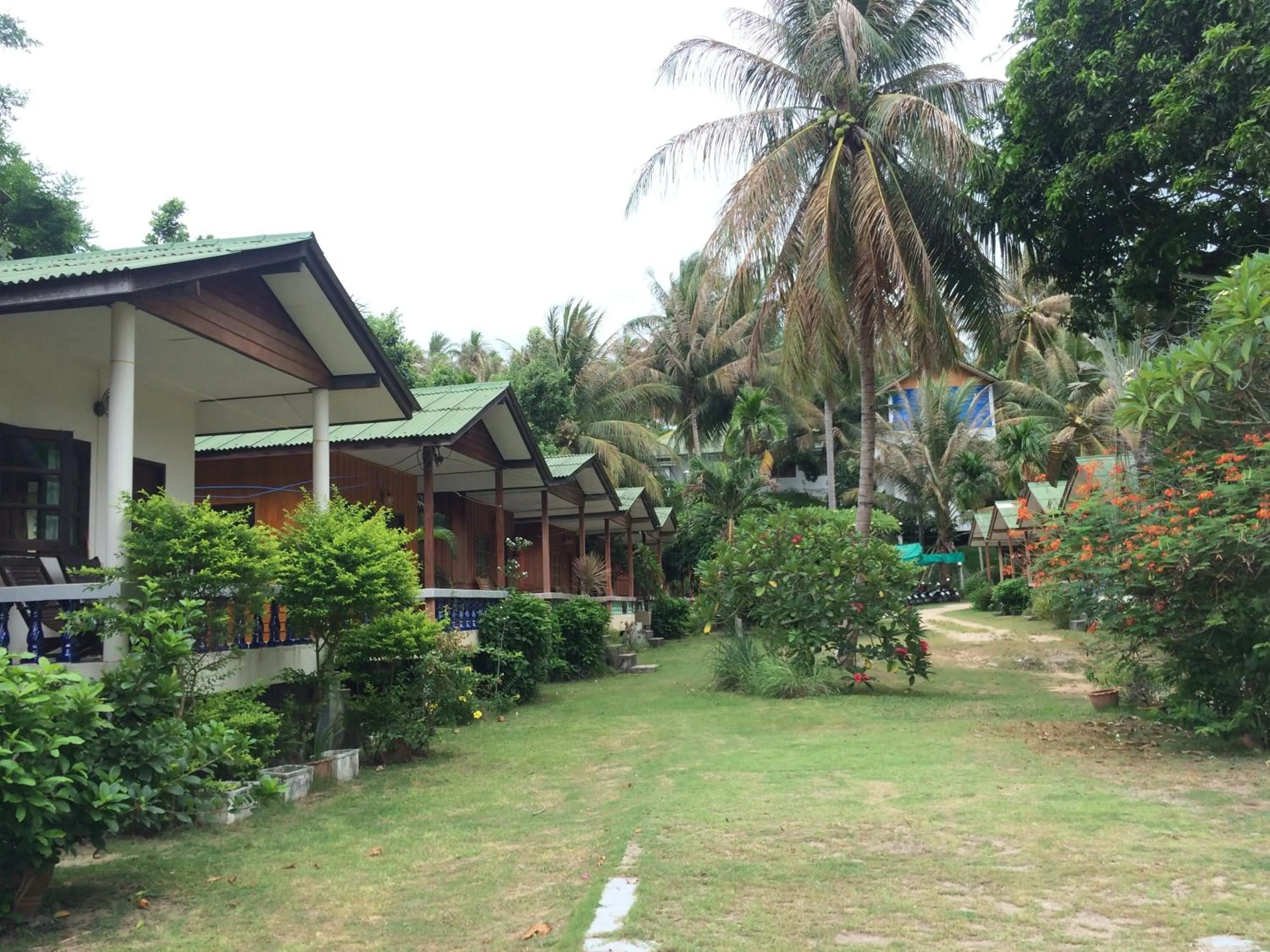 Garden view in Blue Lotus Resort
