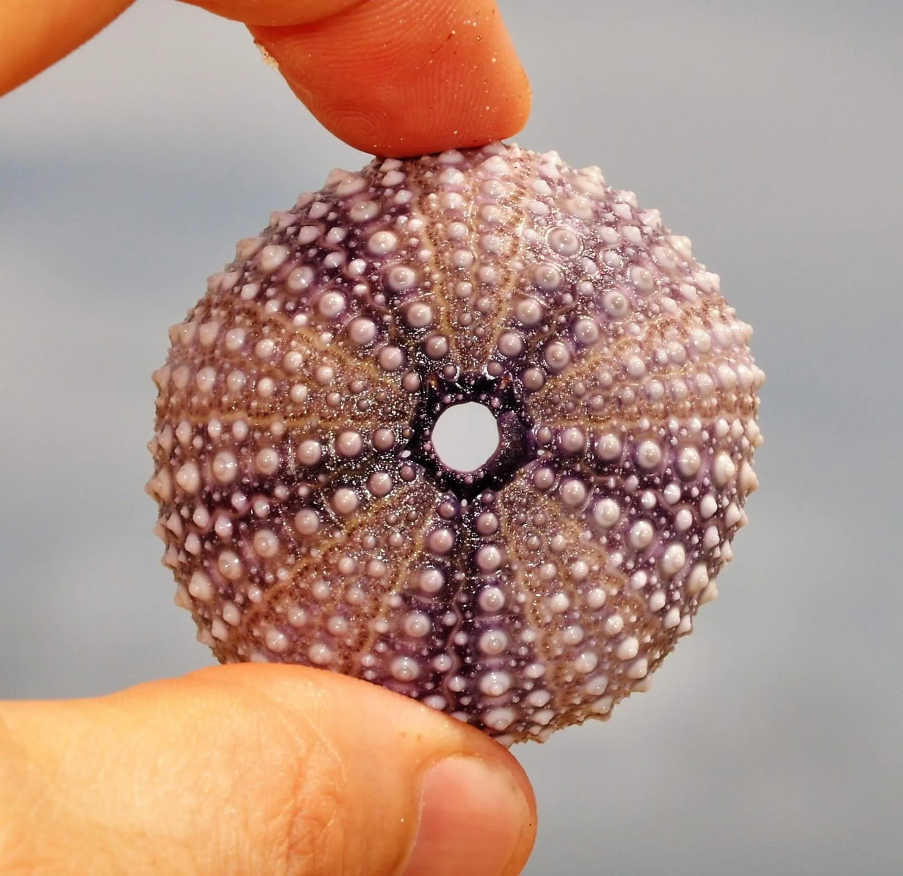 Other in Kimte Beach Lodge