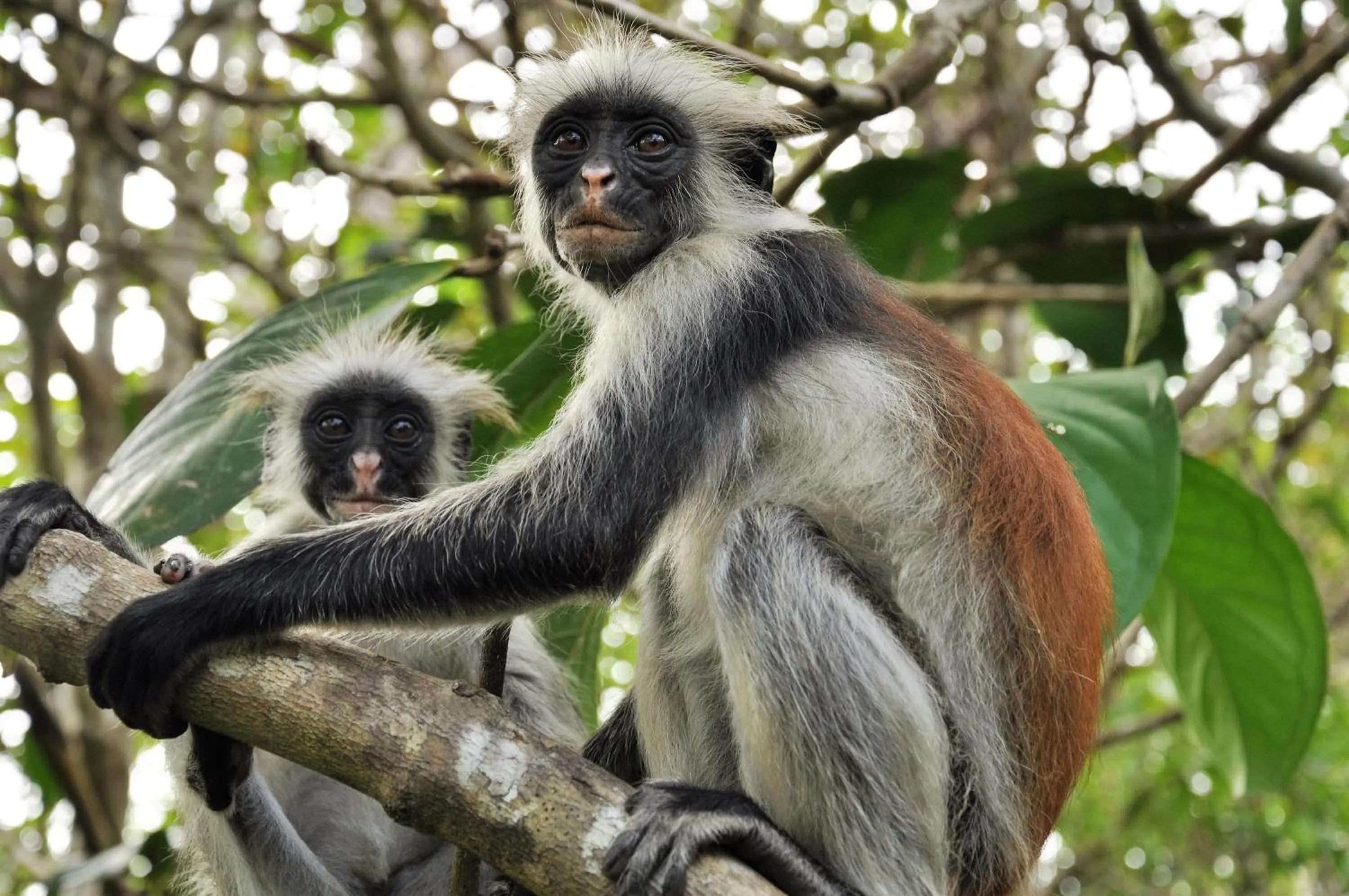 Activities in Kimte Beach Lodge