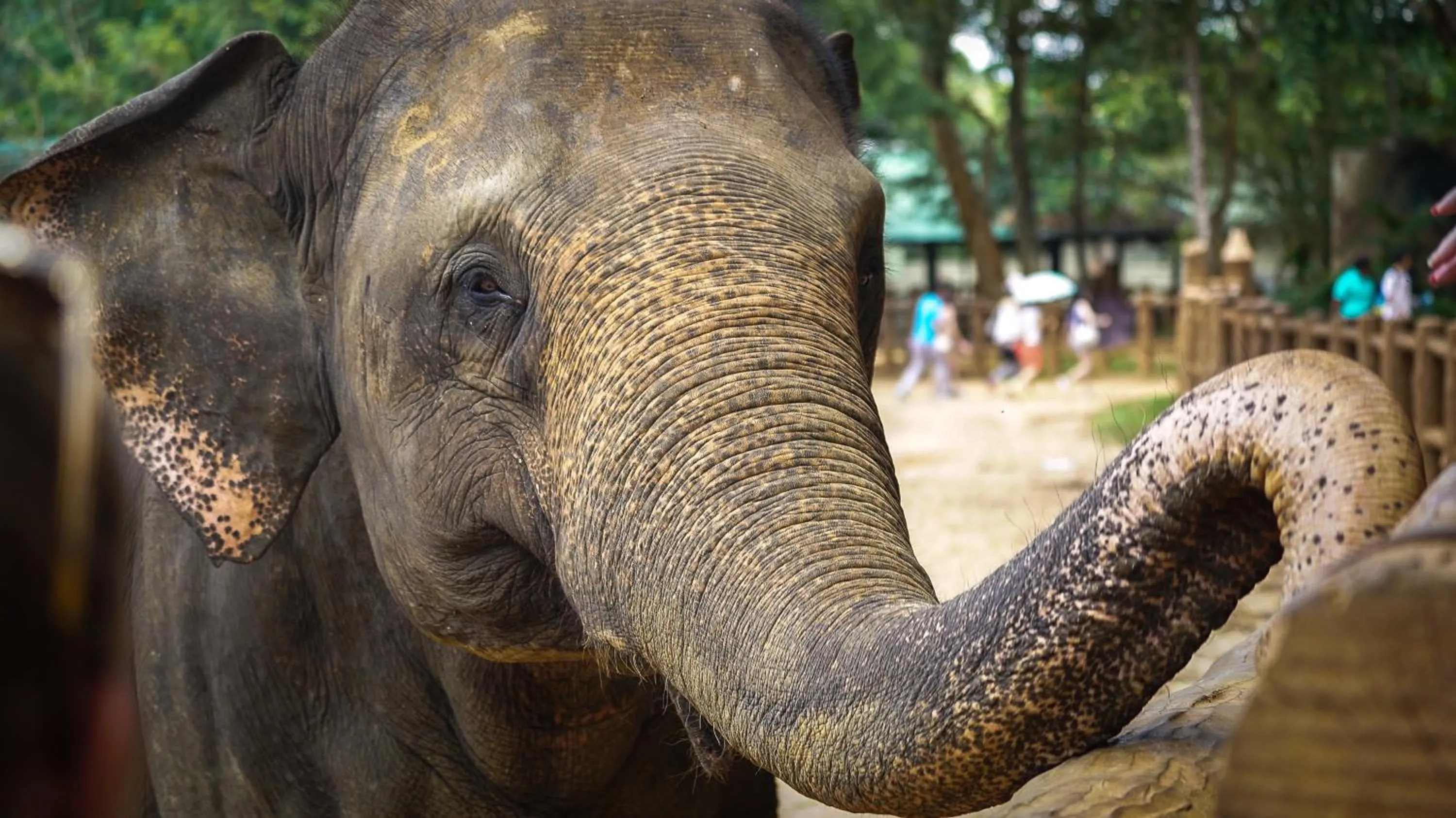 Day in De Silva Wind Resort Kalpitiya - Kitesurfing School Sri Lanka