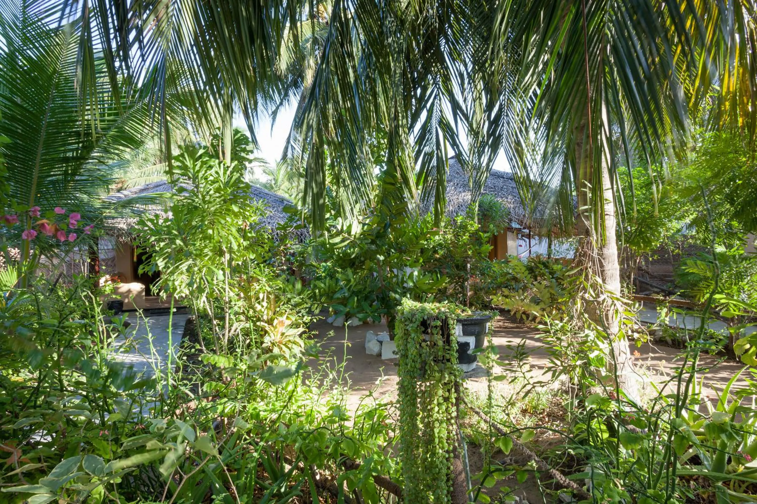 Inner courtyard view in De Silva Wind Resort Kalpitiya - Kitesurfing School Sri Lanka