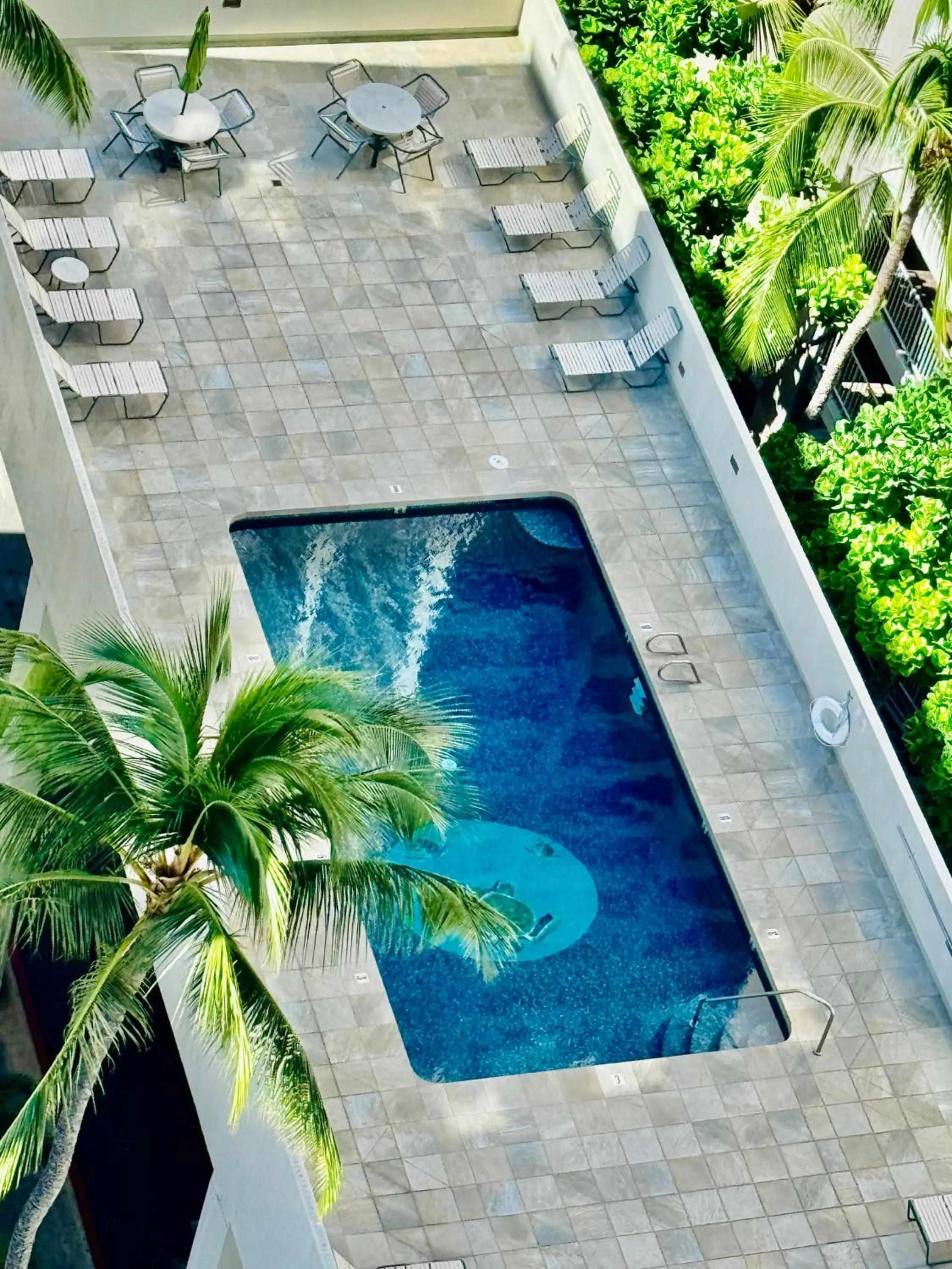 Swimming pool in Jenny's Cottage Waikiki