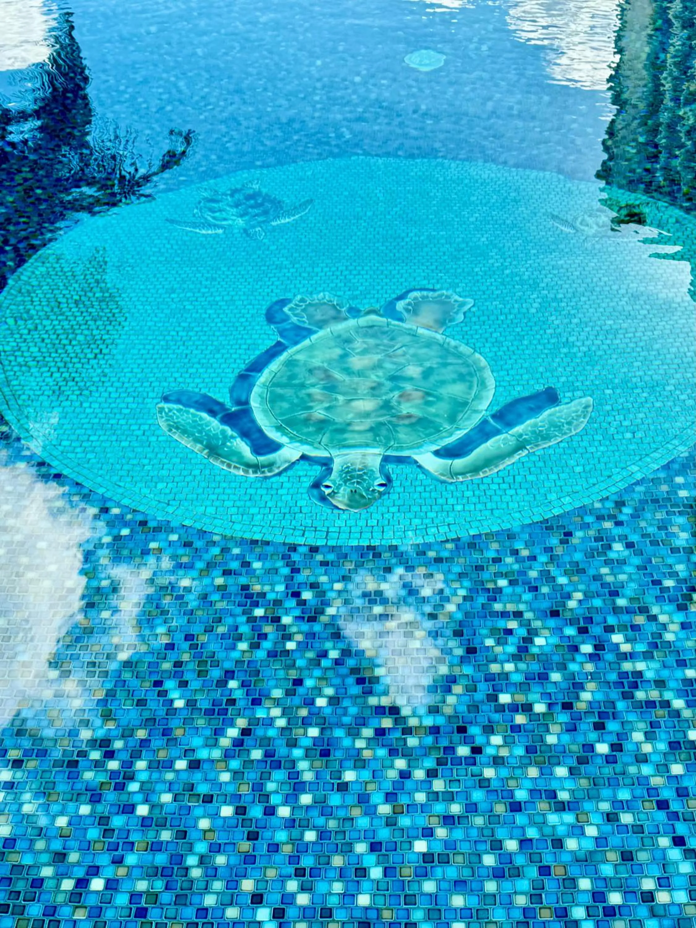 Pool view in Jenny's Cottage Waikiki