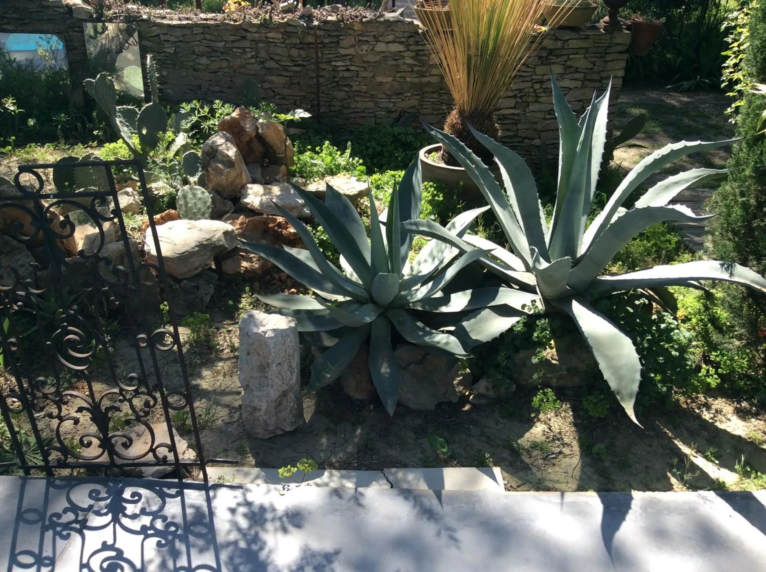 Garden in Inn 4 Bears