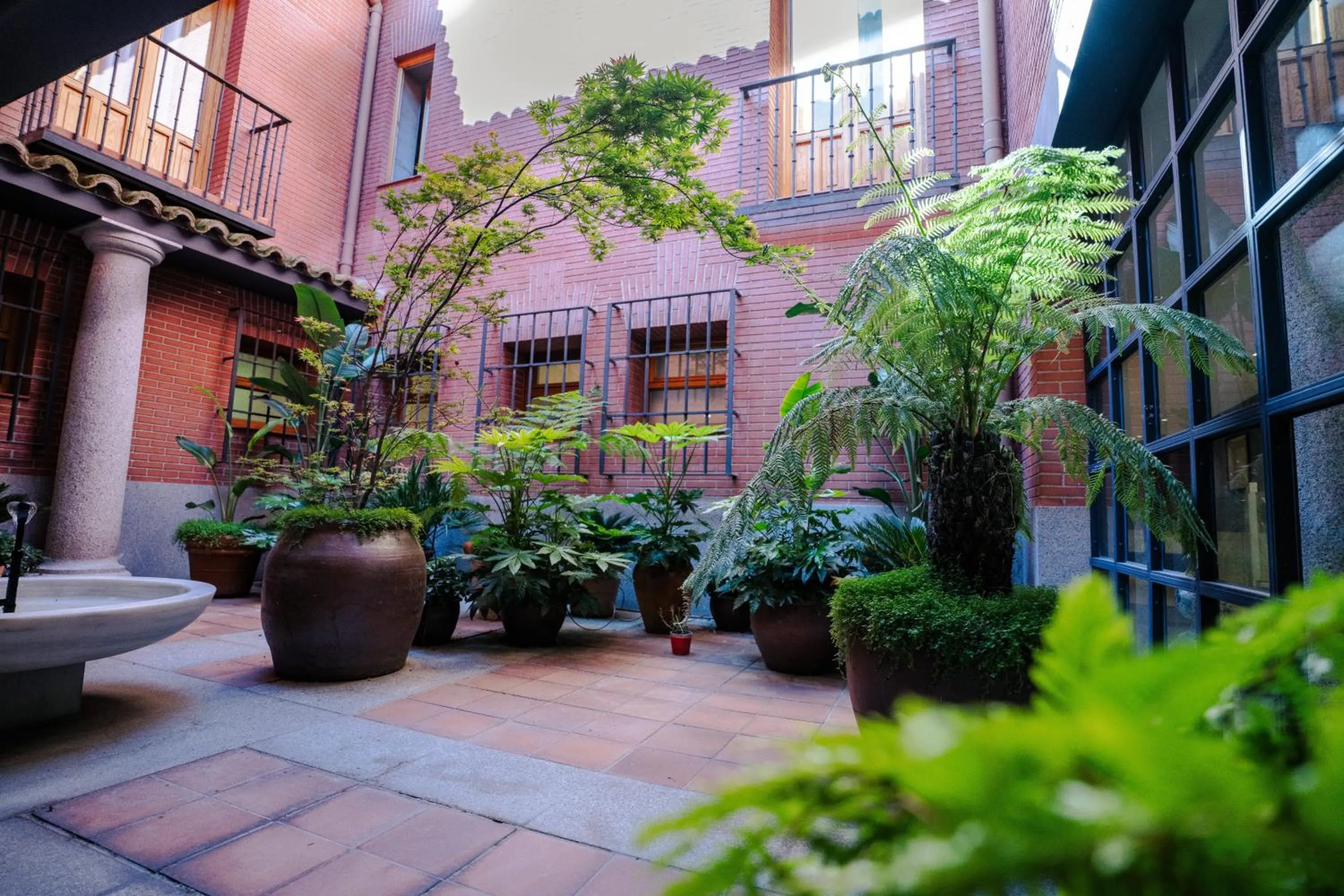 Balcony/Terrace in Palacio Conde Miranda